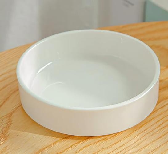 Ceramic Plant Saucer 4” Water Catcher Pot Tray for Brazilian Wood Plant |