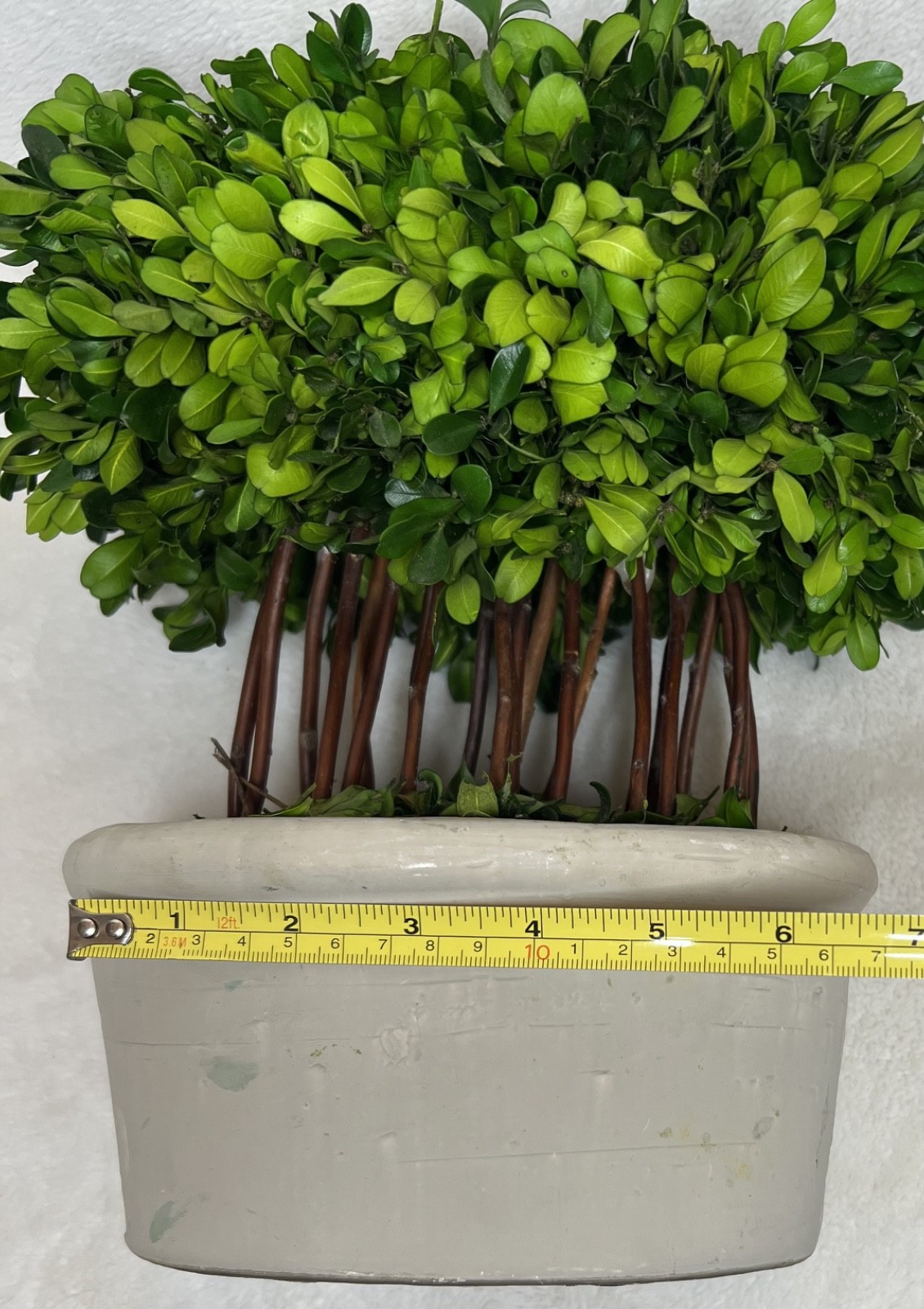 Bundle of Topiaries, Wreaths, and Picks for Decor