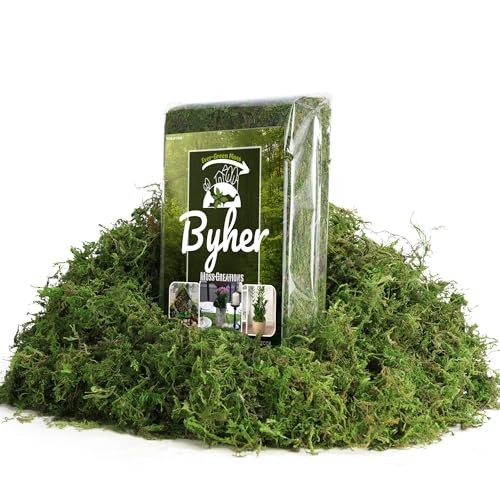 7OZ Moss for Plants Indoor, Natural Looking Faux Grass for Crafts, Fresh Green