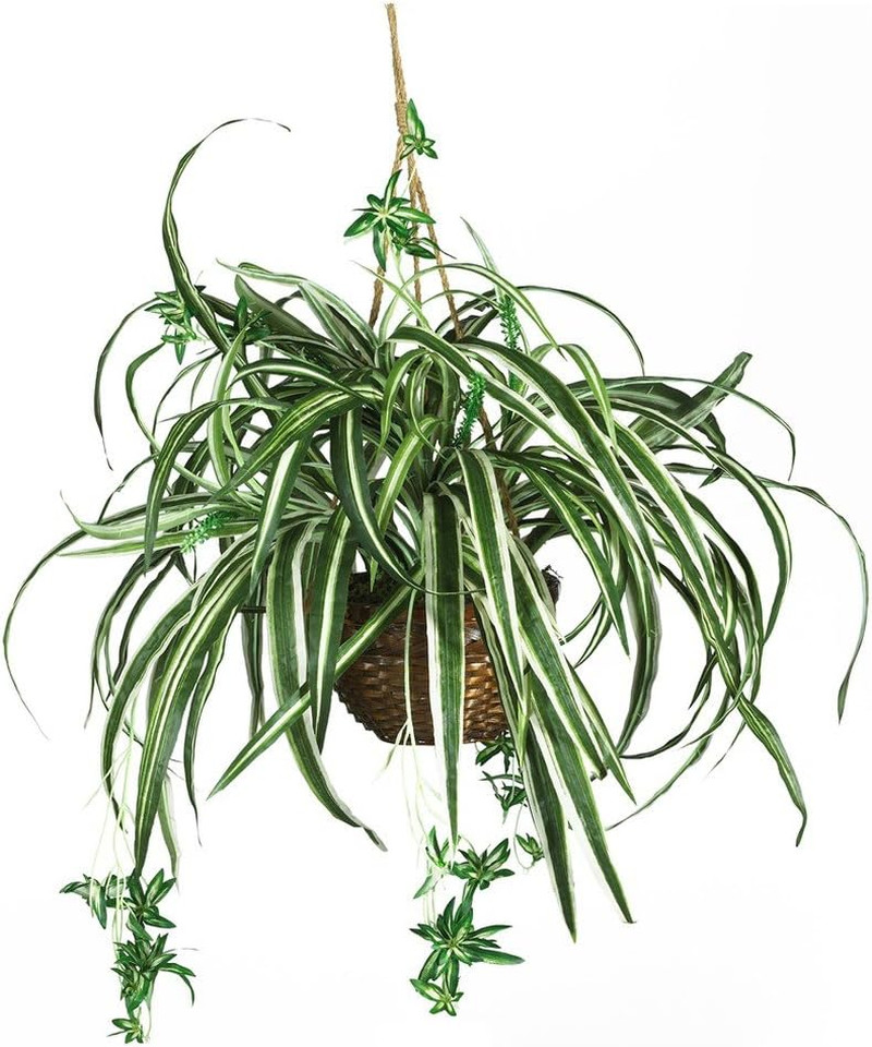 6607 Spider Hanging Basket Decorative Silk Plant, Green,10.25″ X 10.25″ X 17.5″
