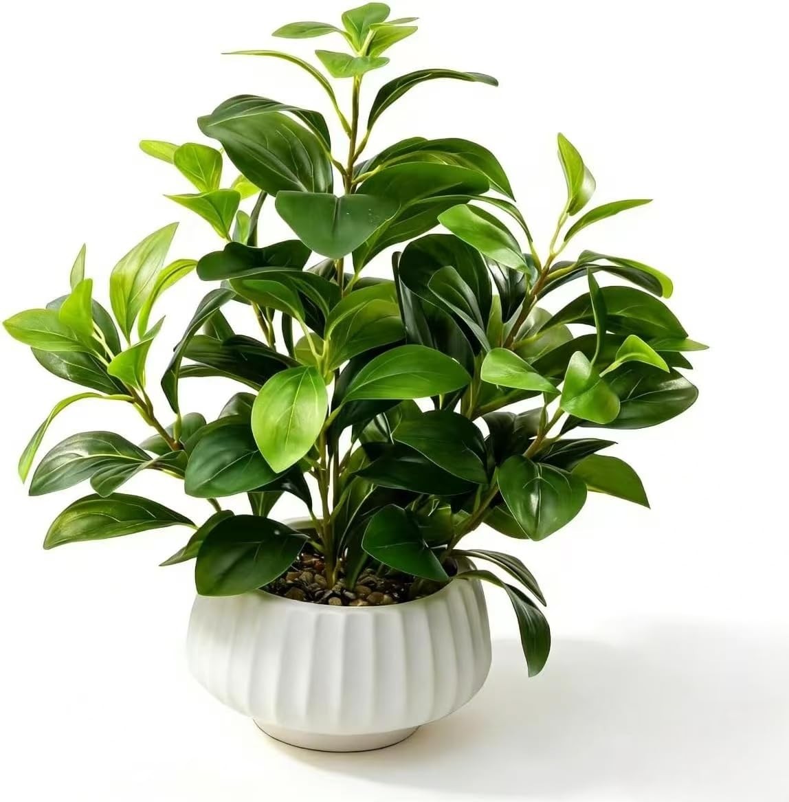 Artificial Peperomia Plants 16.5” Tall Lifelike Faux Greenery in 6” White Ribbed