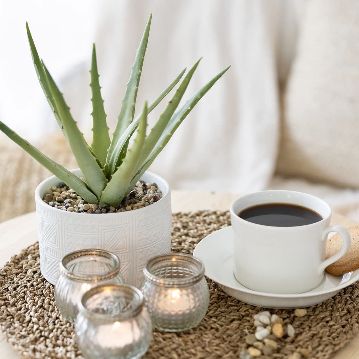 Artificial Plant in White Ceramic Pot | 10″ high sage Green Faux Agave Plant …