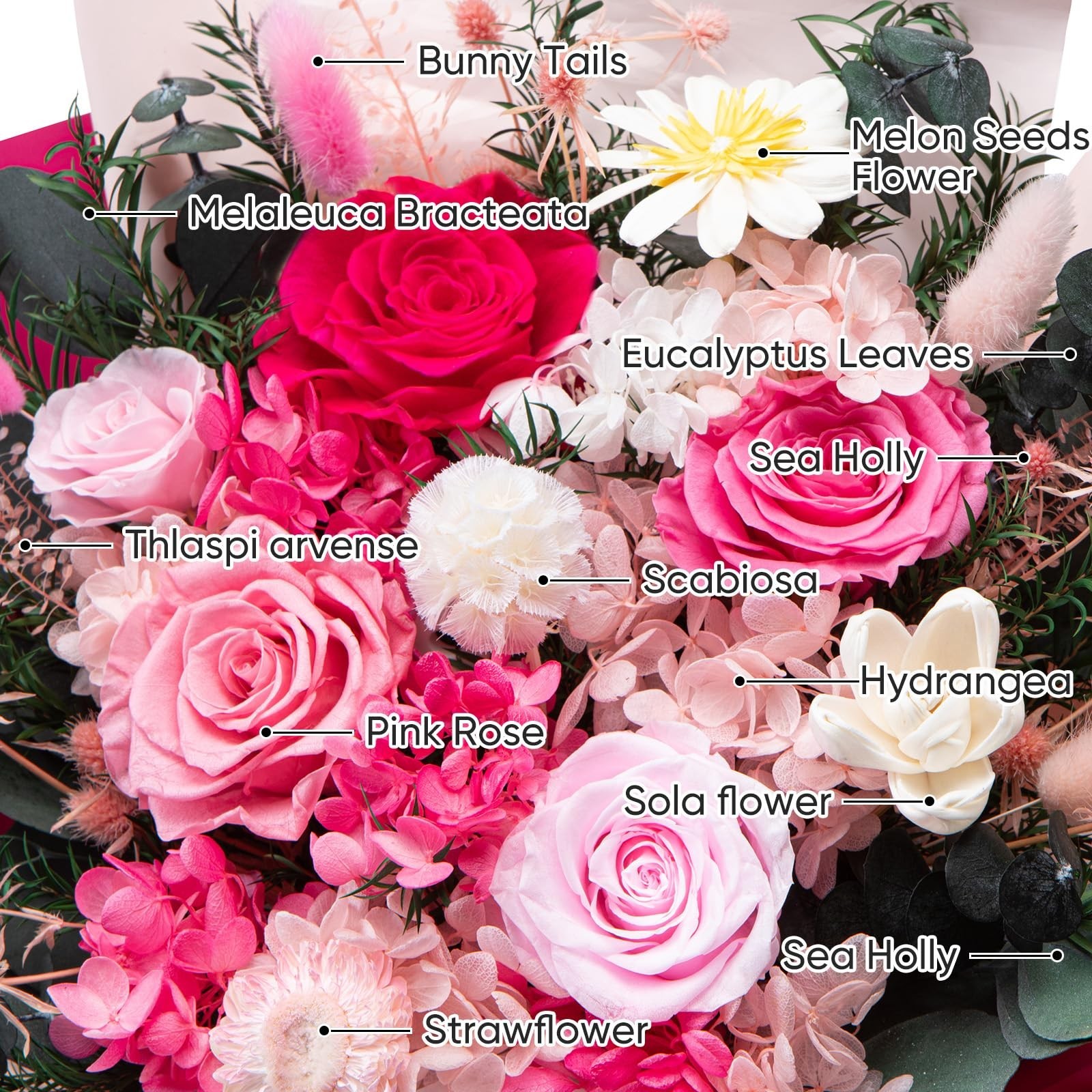 Forever Fresh Preserved Flower Bouquet – Red Roses for Birthday, Anniversary Gif