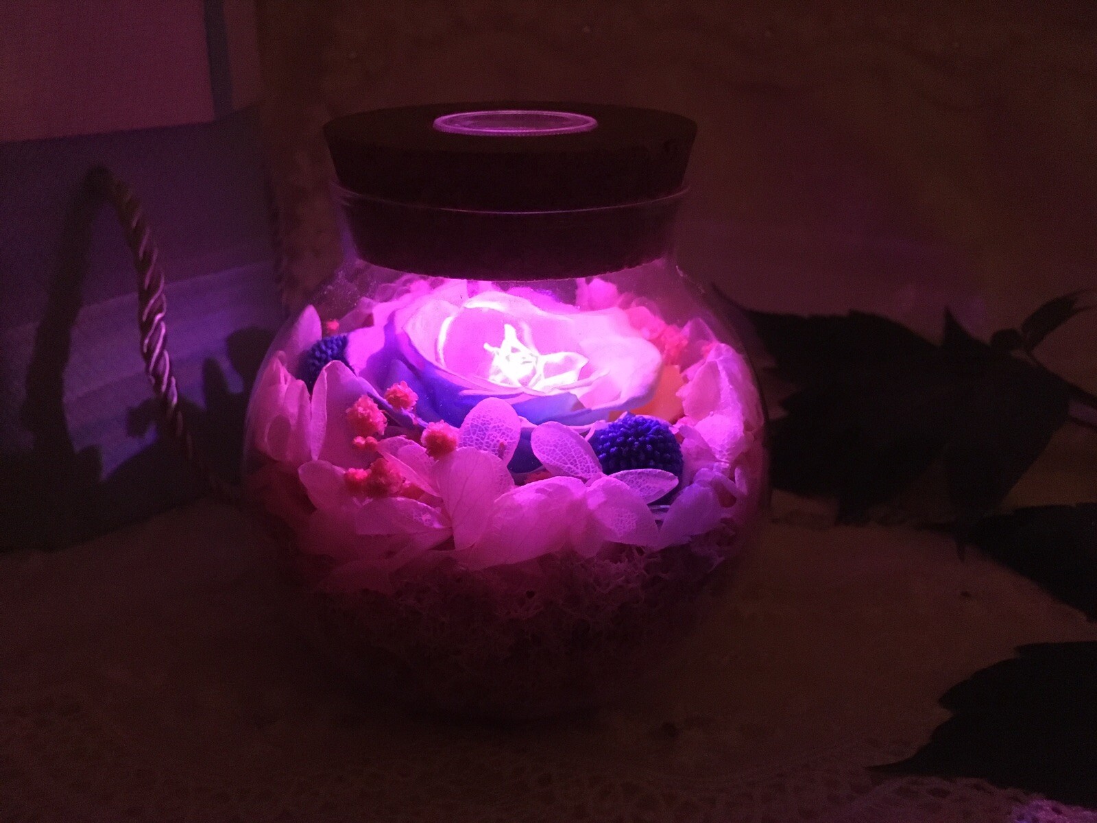Sanran Forever Eternal Real Preserved Rose With Led Mood Light Valentine Gift