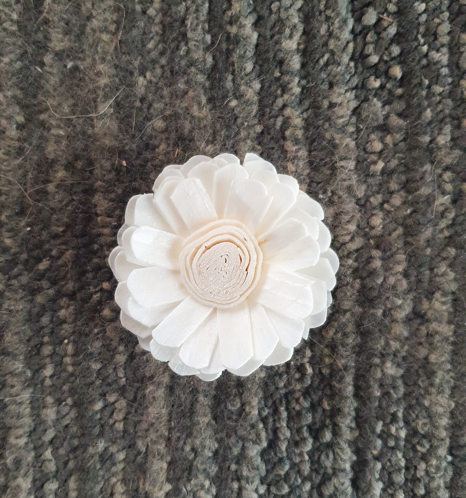 15 White Daisy Sola Wood Flower Diffuser Flowers 5 cm Dia. For Decorate Craft