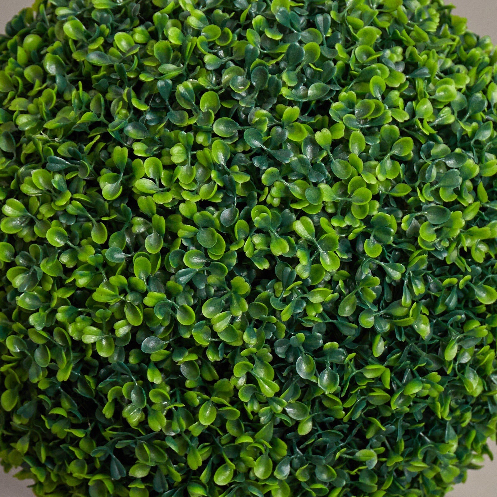 5’ Topiary Boxwood Artificial Tree in Planter UV Indoor/Outdoor. Retail $352