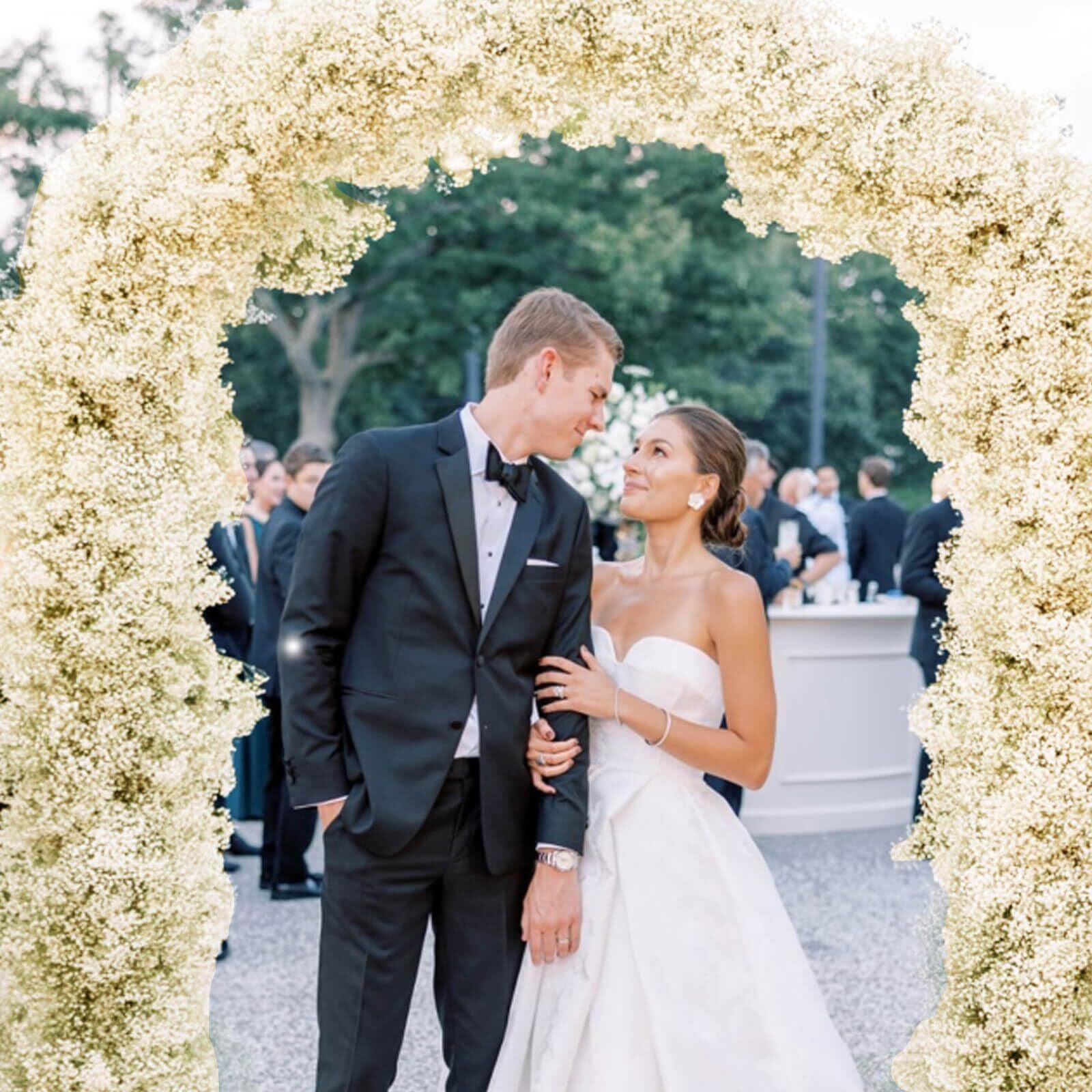 2000+ Ivory Dried Baby’s Breath Natural Gypsophila for Weddings DIY Crafts