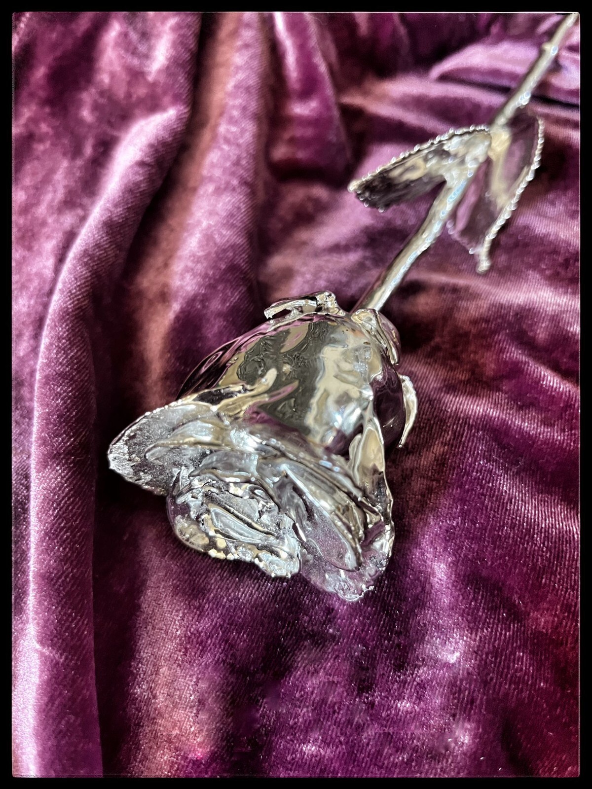 100% Real Rose Plated with Silver, Long Stem, 11.5 Inches.