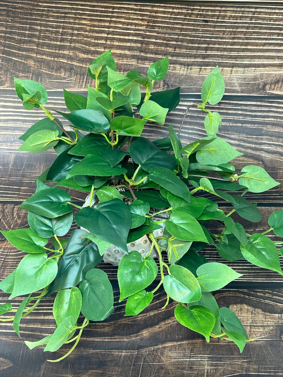 8″ Potted faux GREEN POTHOS Vine Silk plant, Cream Dot Ceramic pot