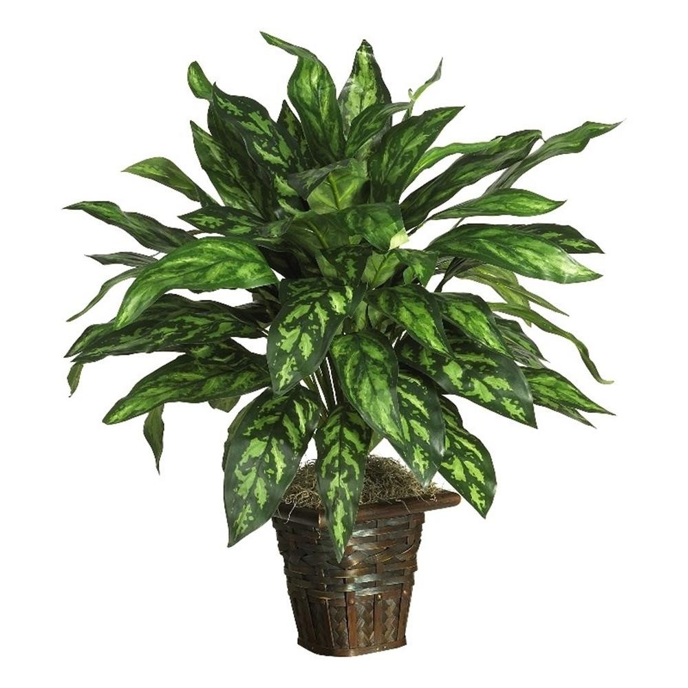 Nearly Natural Silver King with Basket Silk Plant in Green/Brown