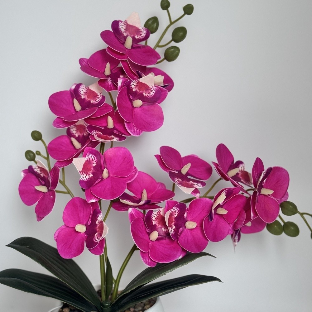 Artificial Orchid Home Decoration Soft Plastic for material Maintenance-free