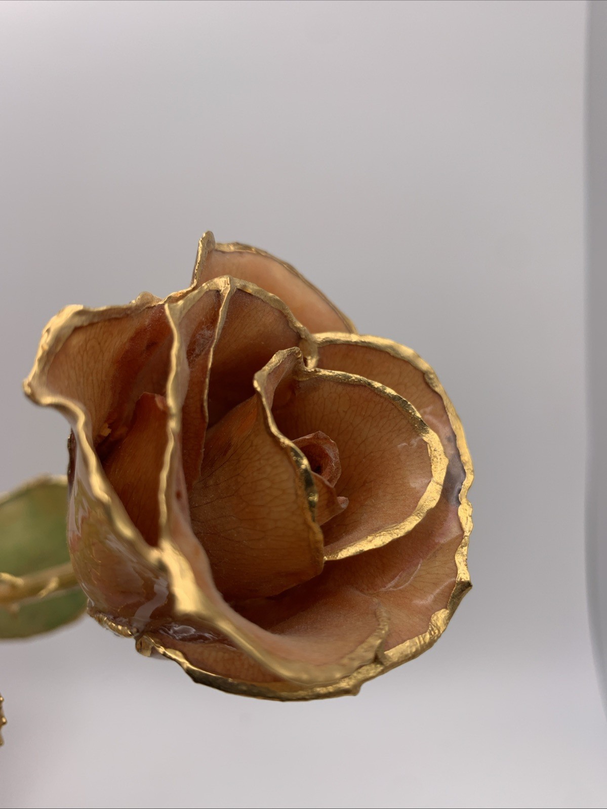 Real Rose Lacquer Dipped 24 Karat Gold Trim Lite Pink/Orange 11.5” With Vase