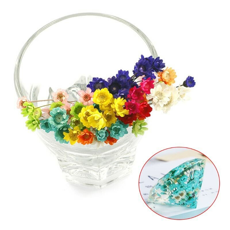 1 Pack Real Pressed Dried Flowers For Art Craft Resin Pendant Jewellery Making