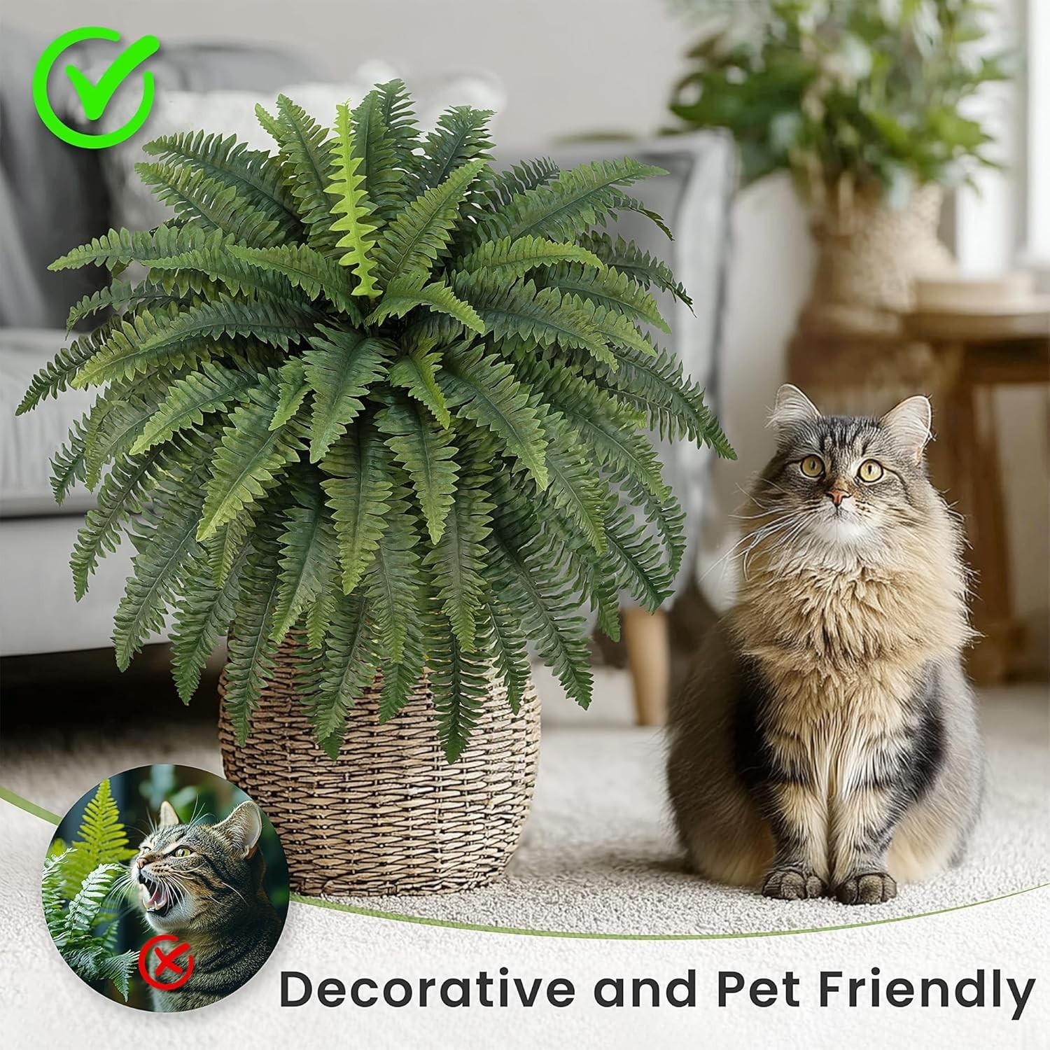 Eco-Friendly 42″ Boston Ferns – 2 Bundles for All-Season Indoor and Outdoor Use