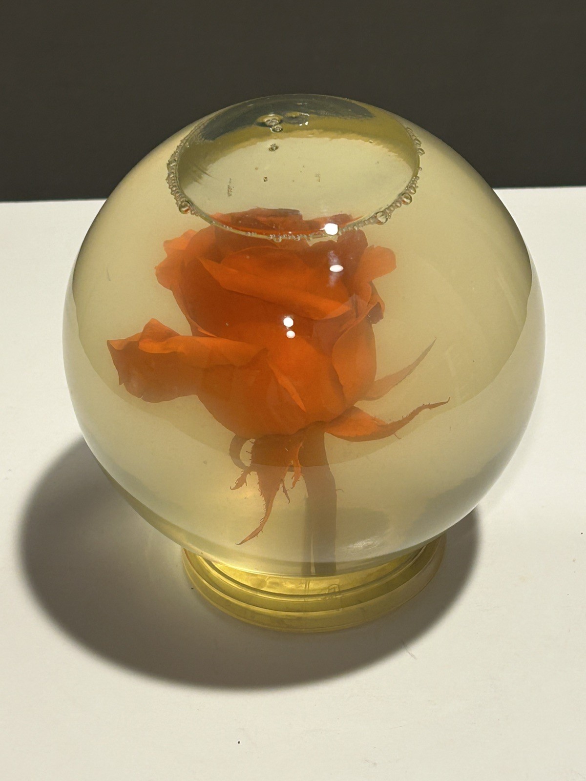 Vintage Liquid Filled Orange Rose Display Globe Preserved Flower Decor