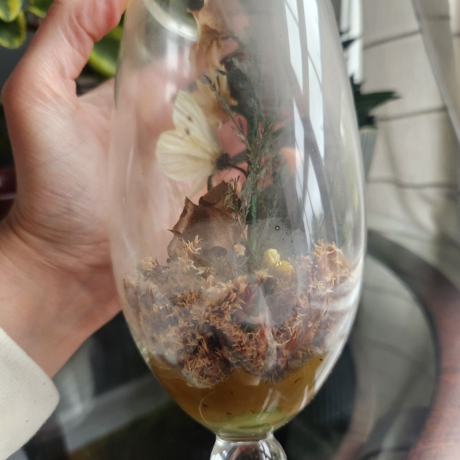 Vtg Apothecary Jar Sealed Butterfly Terrarium Floral Dried Flowers Cottagecore