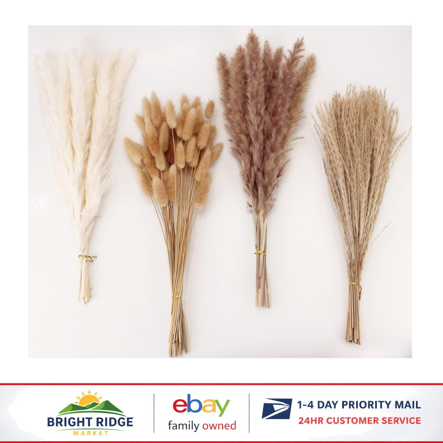 Elegant Dried Pampas Grass Bouquet with White and Brown Stems for Events
