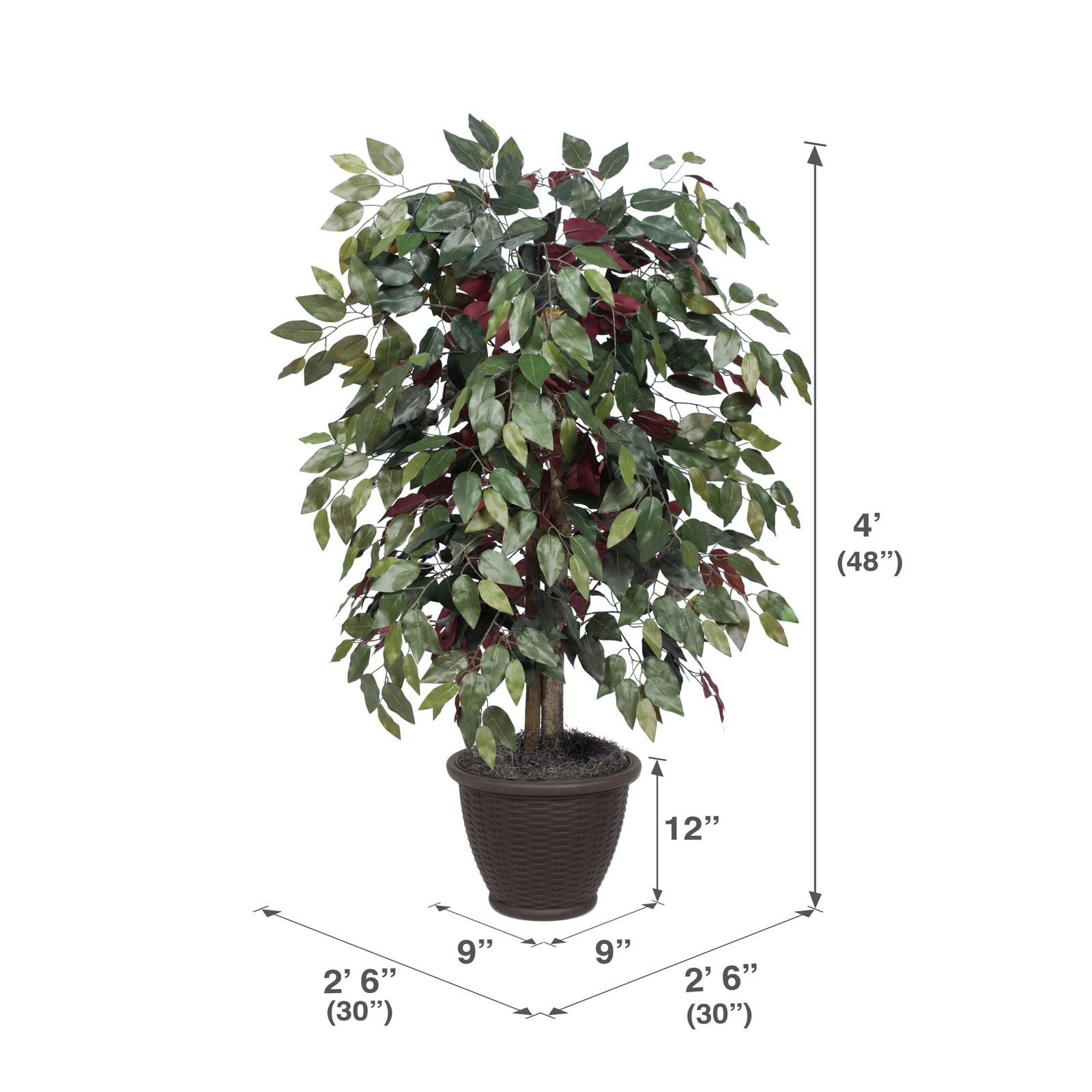 Vickerman 4′ Artificial Capensia Bush. Gray Square Plastic Container