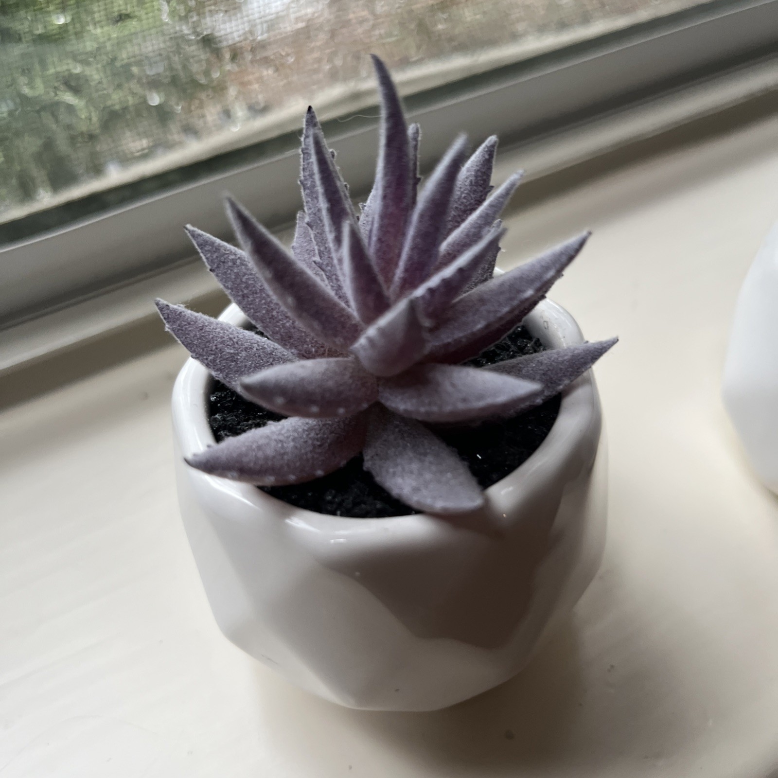 2 Pink Purple Artificial Fake Succulent Plants Faux Indoor Decor Small Potted