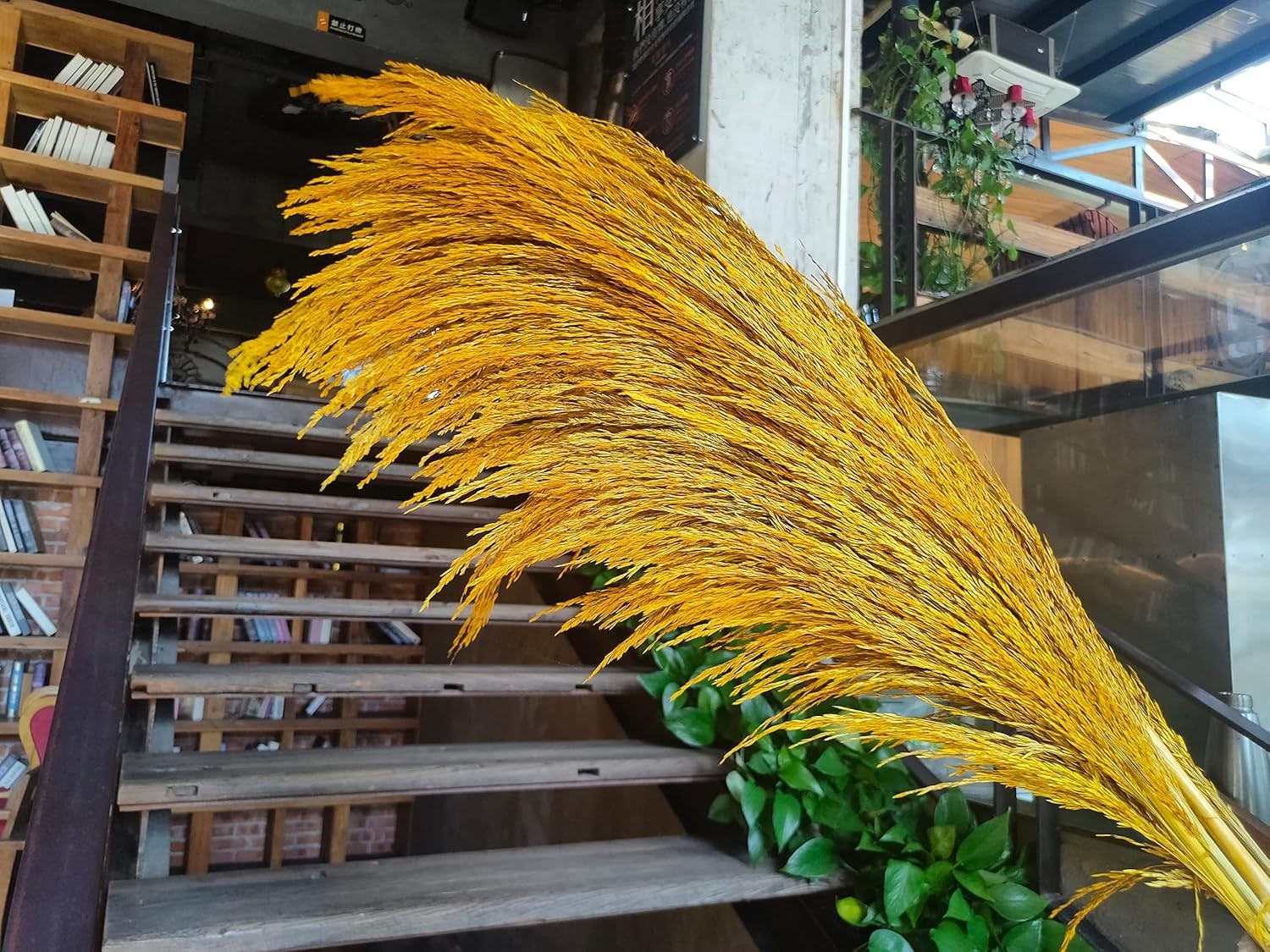 Golden Pampas Grass Decor Tall,Dried Pampas Grass, Pompas Floral for Vase, El…