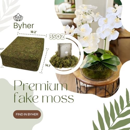 Large Capacity 2.2LB Fresh Green Fake Moss for Indoor Plants & Crafts – Home Dec