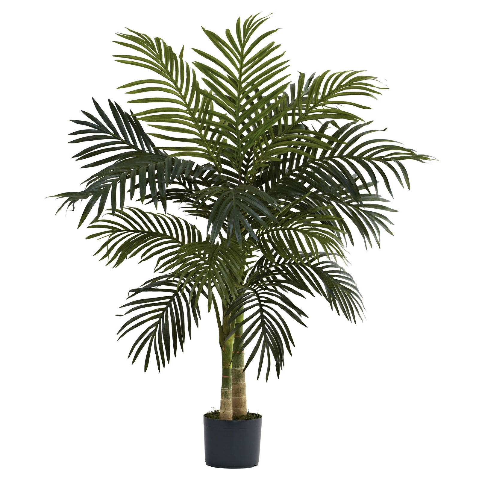 Artificial Golden Cane Palm Tree Green Indoor Home Decor 4ft High NEARLY NATURAL