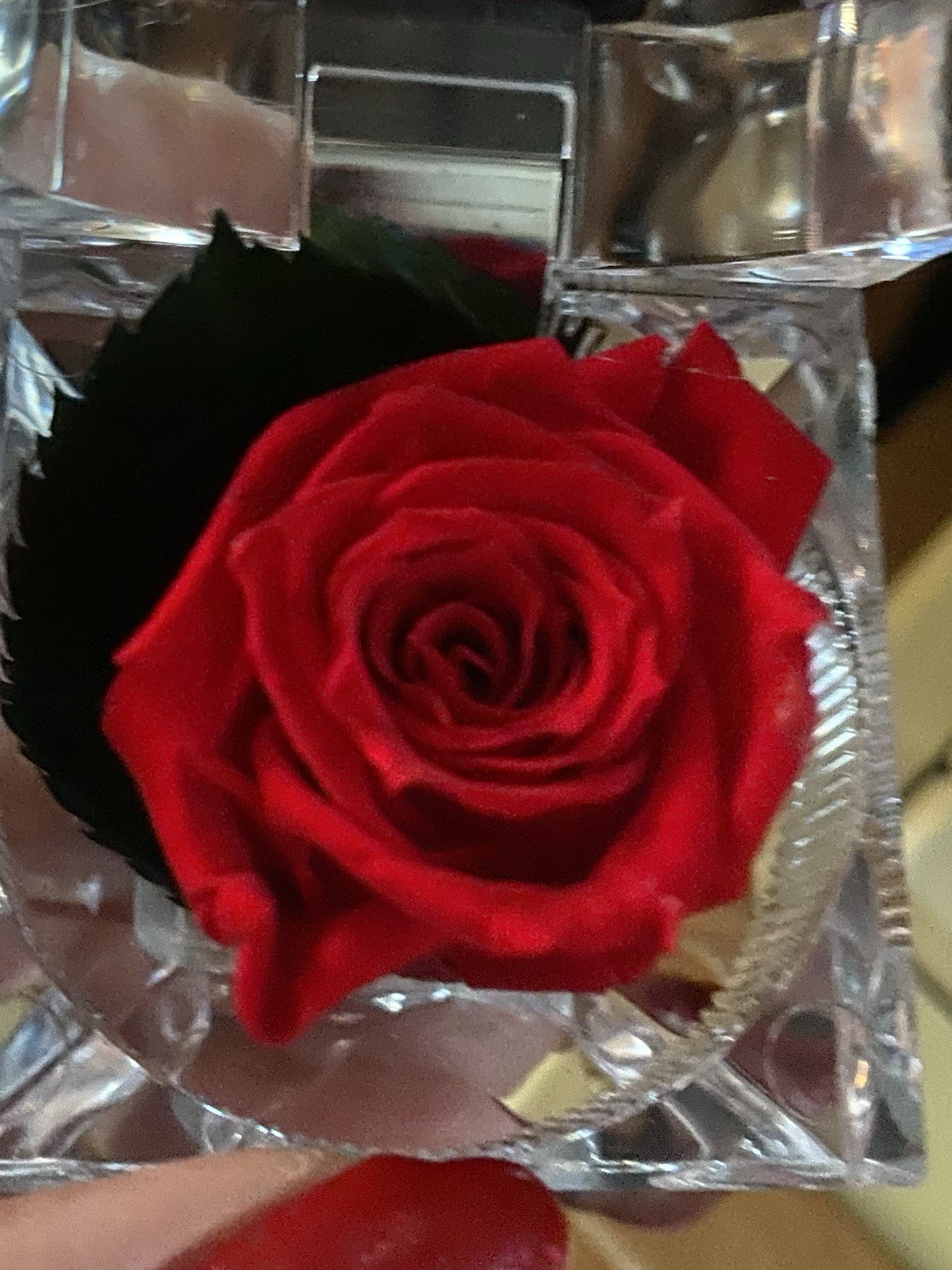 Preserved Rose Real Forever Rose in Mini Clear Ring Box, Eternal RED Rose NEW