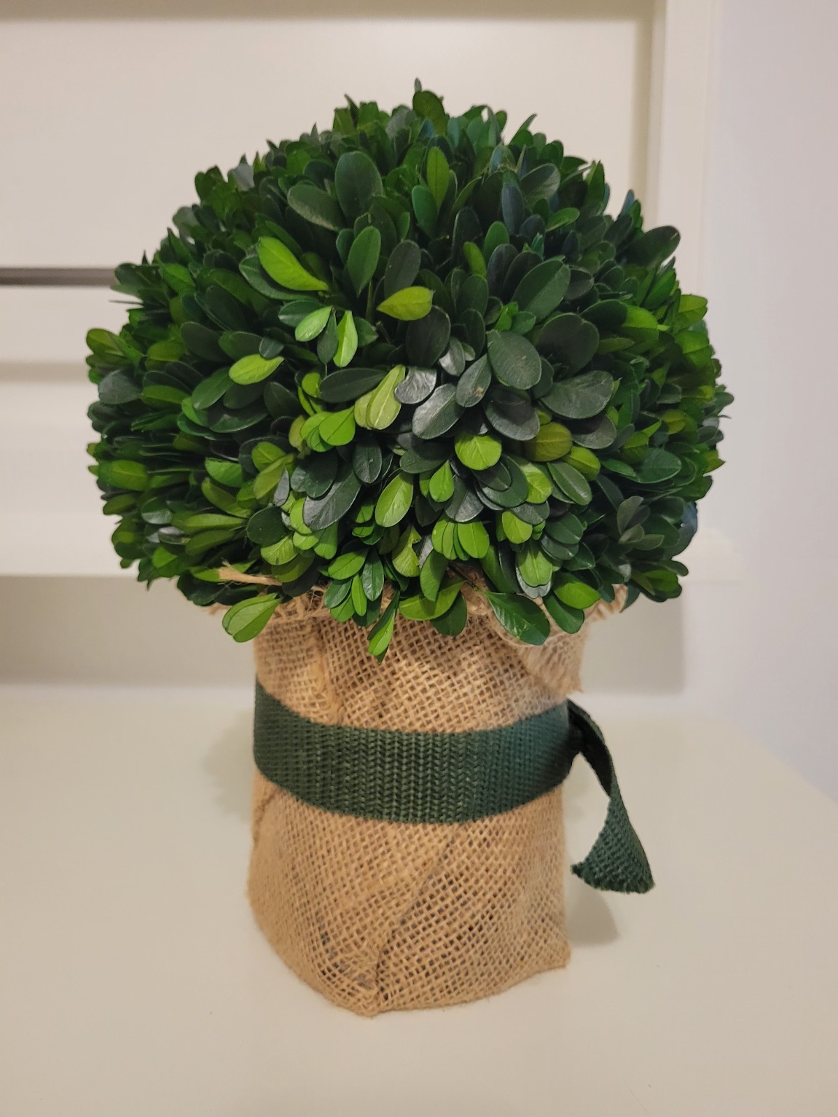 Artificial Boxwood Ball Topiary in Burlap Pot with Green Ribbon, Green/Beige