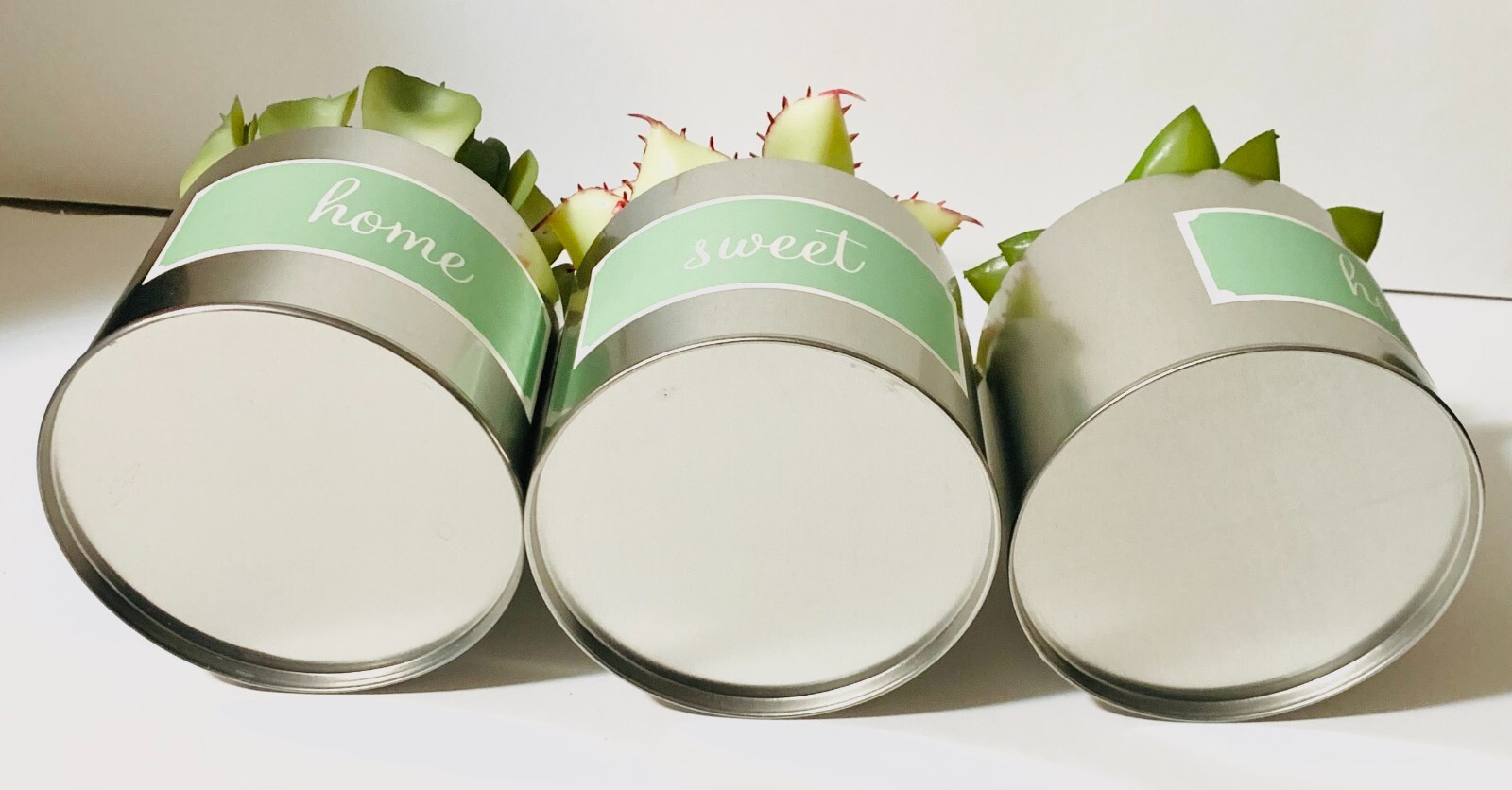 Faux Succulents in Tin Pots Set of 3 Home Sweet Home Decor New in Box