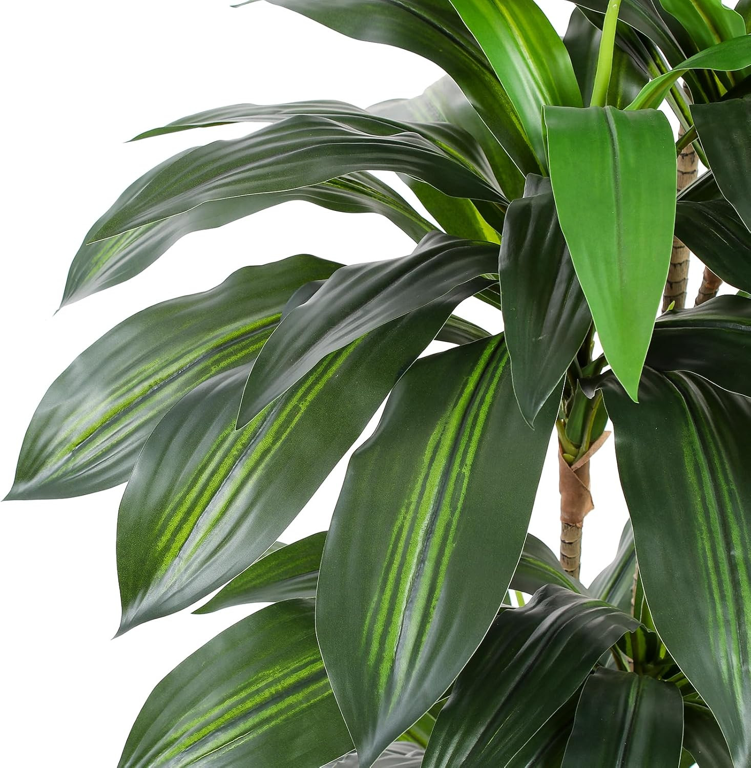 Artificial Dracaena Tree with White Tall Planter, 5Ft Tall Potted Artificial Dra