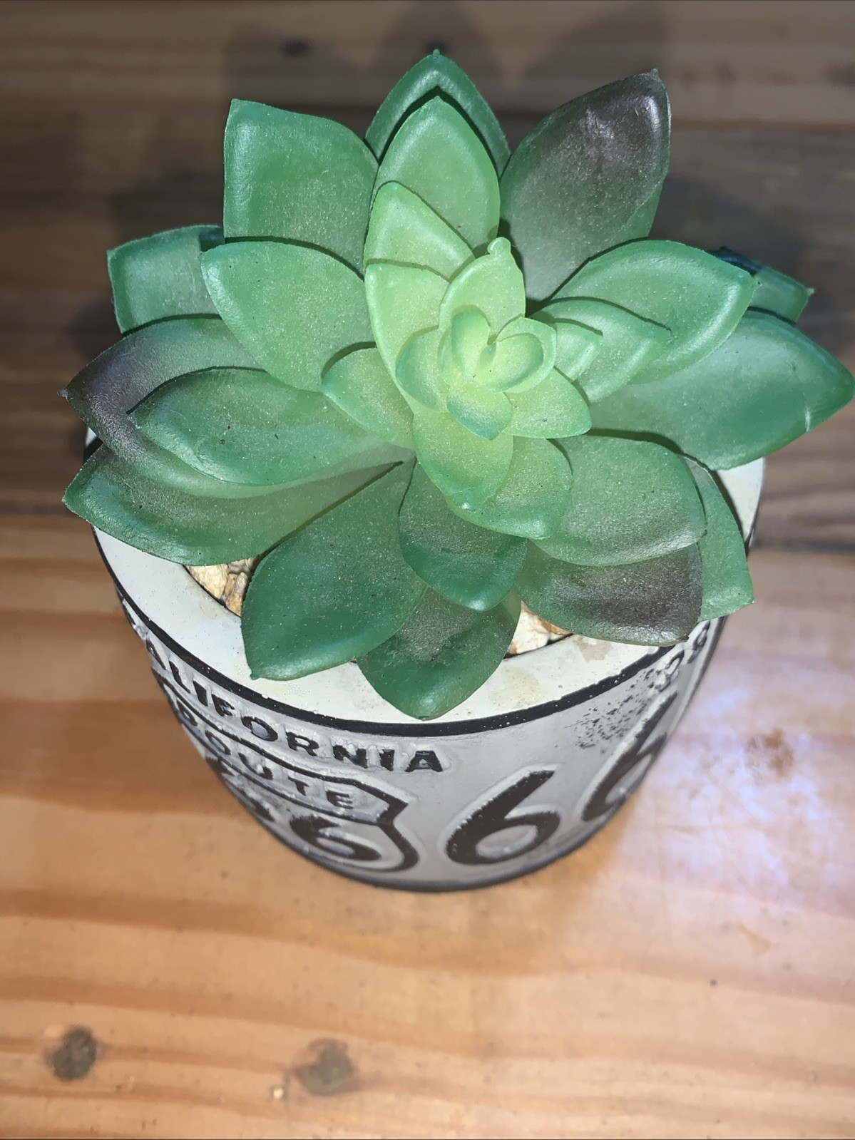 California Route 66 succulent potted artifical plants License plate design IVORY