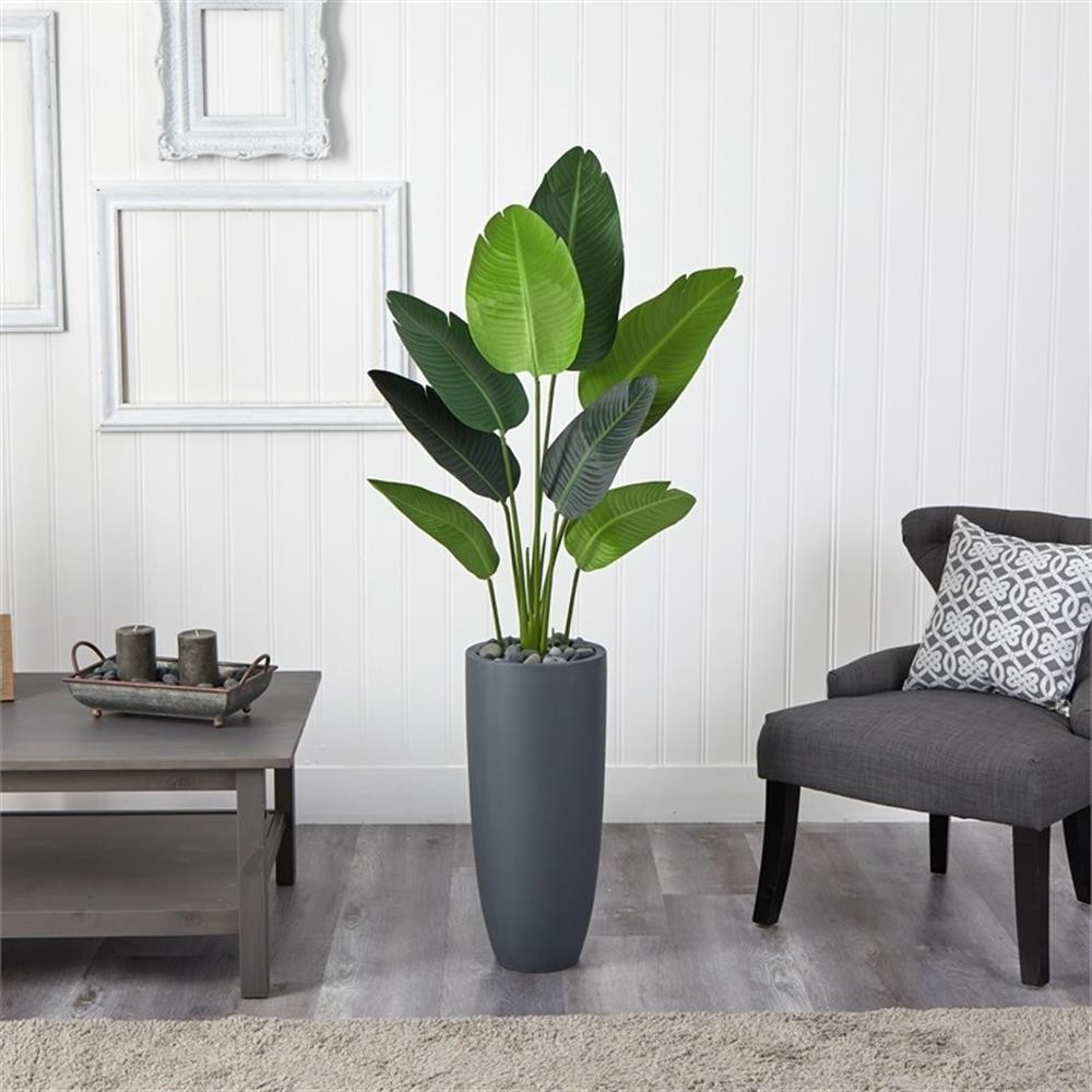 Pemberly Row 66″ Travelers Palm Artificial Tree in Gray Planter in Green/Gray