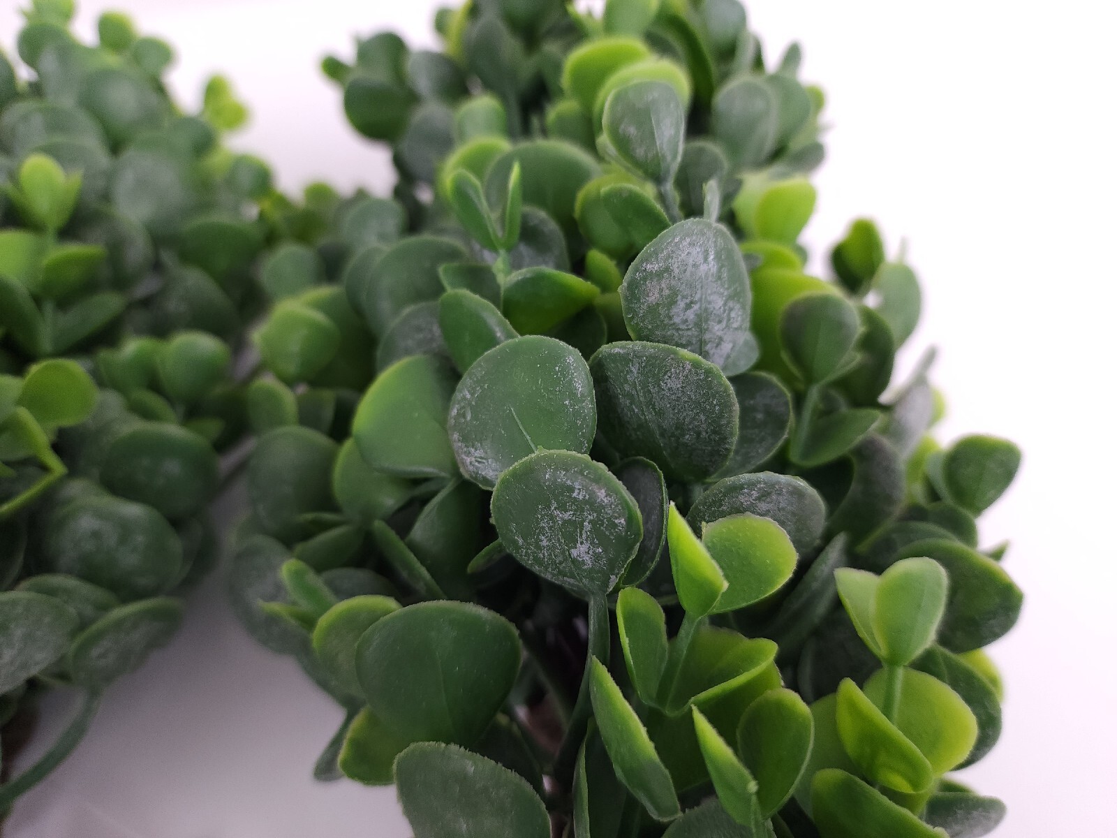 Set of (4) 15″ Real Touch Eucalyptus Picks by Valerie