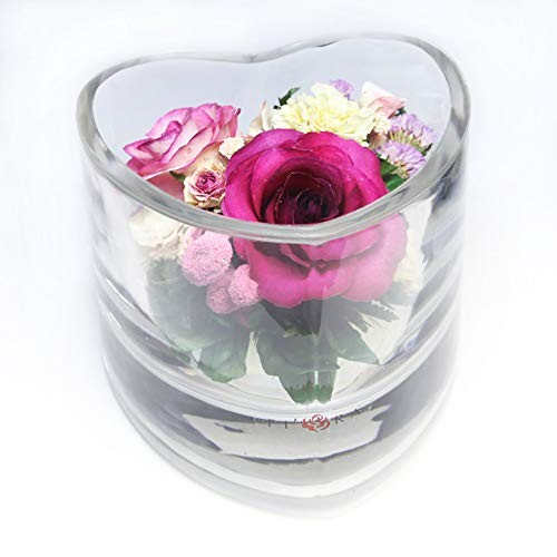 | Long Lasting Roses in Sealed Glass Vase | Preserved Fresh Cut Rose | Unique