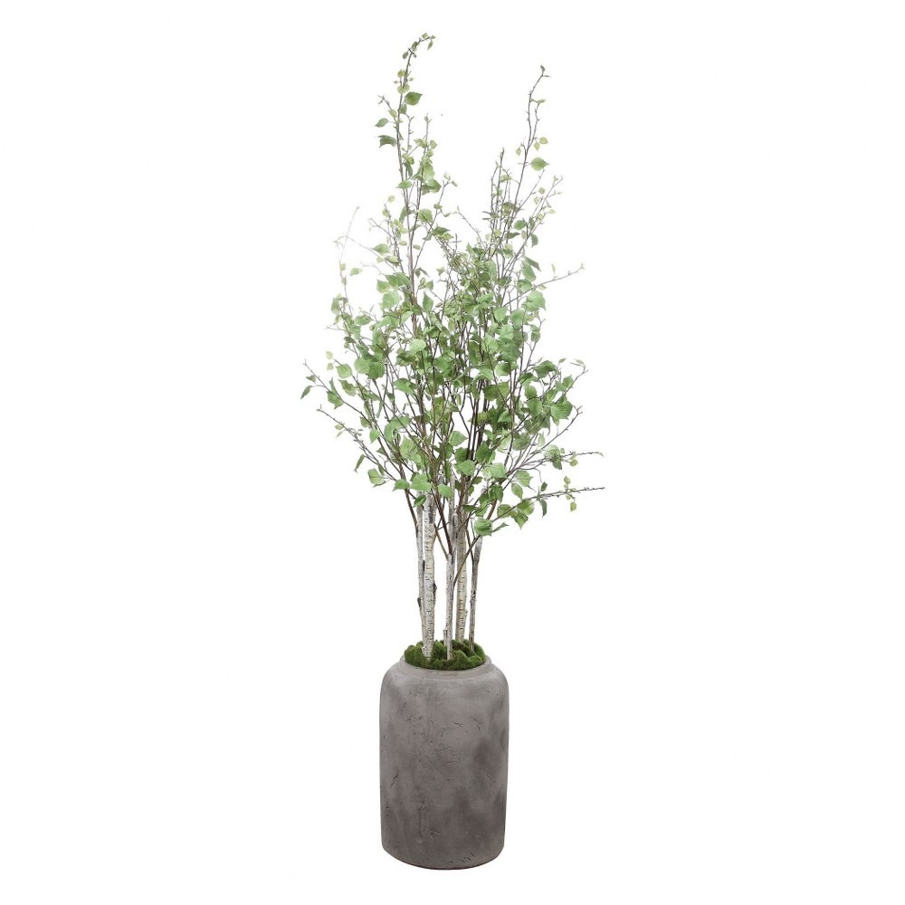 Moorlands Furlong – 77.5 inch Potted River Birch Stem – Decor – Planters –