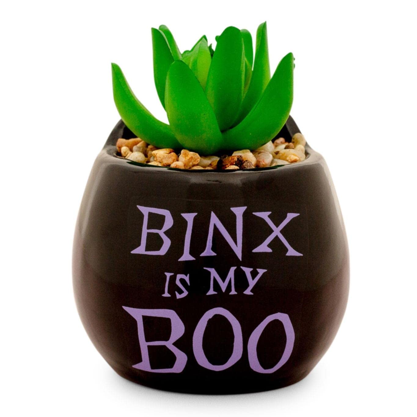 Disney Hocus Pocus Binx is My Boo 3-Inch Ceramic Mini Planter with Artificial Su