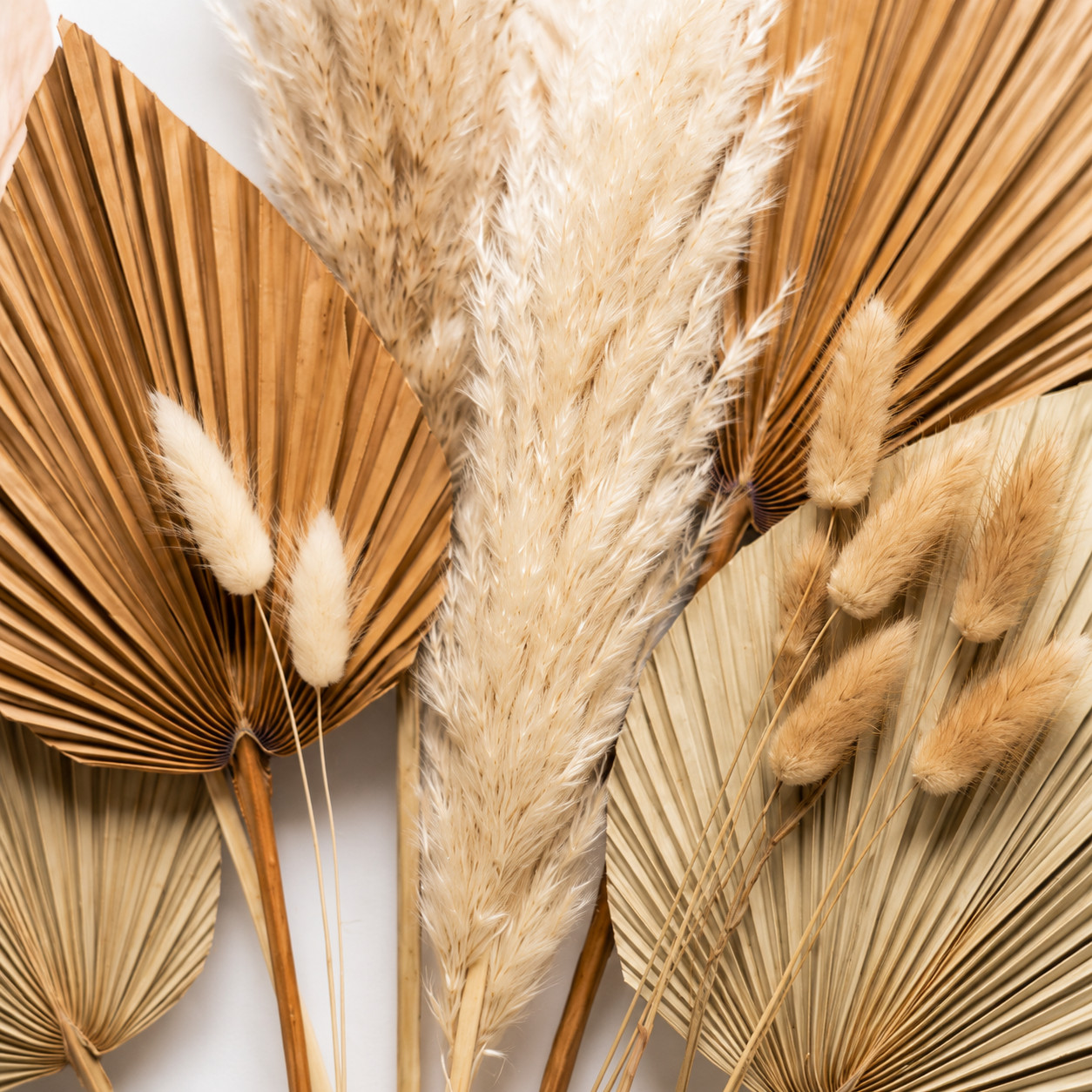 20Pcs Dried Palm Leaves Pampas Grass Mix 19-20in Boho Wedding Home Decor