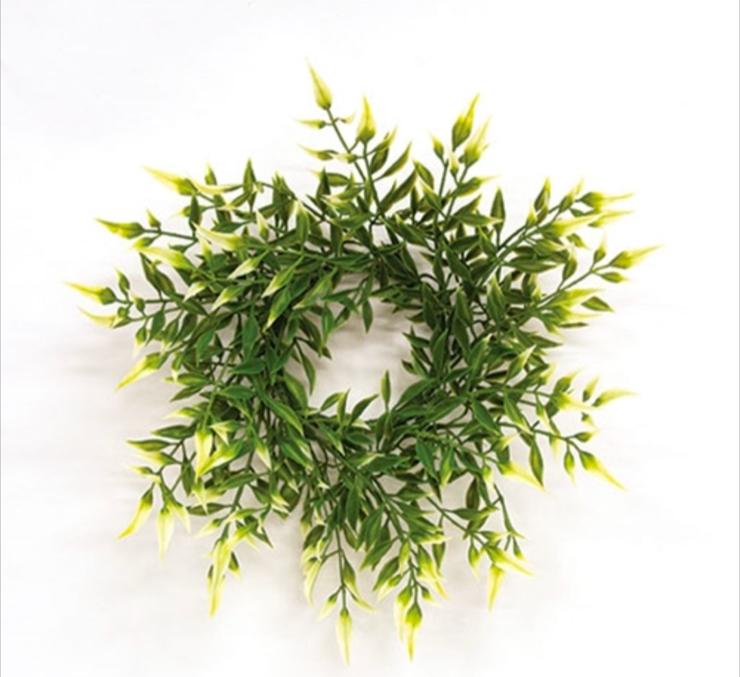 3″ Sprouting Smilax Candle Ring