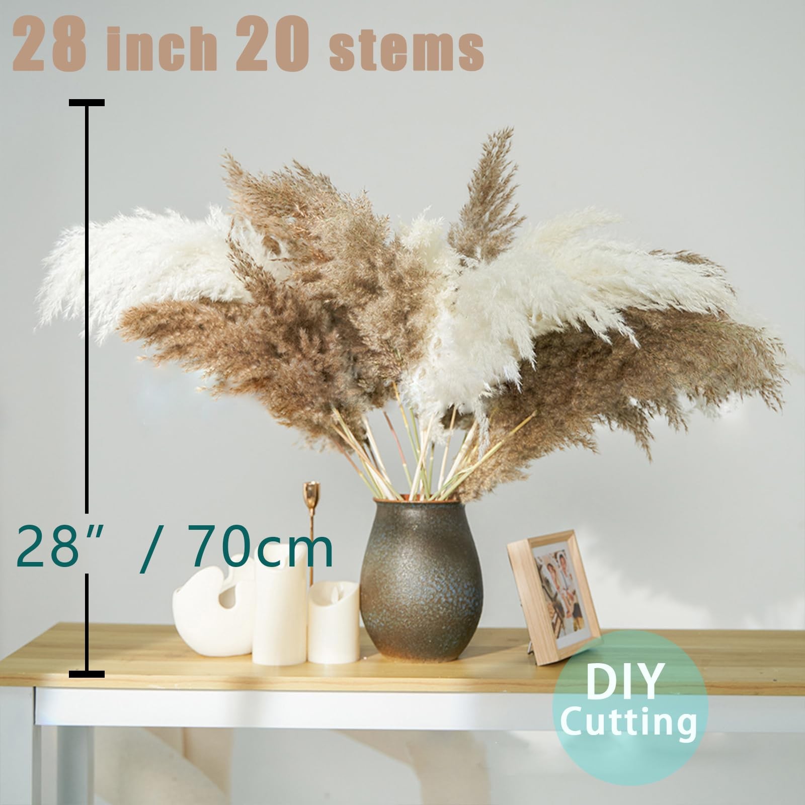 28″ inch 20 Stems Large Pampas 20pcs 10brown & 10white, 10 Brown & 10 White