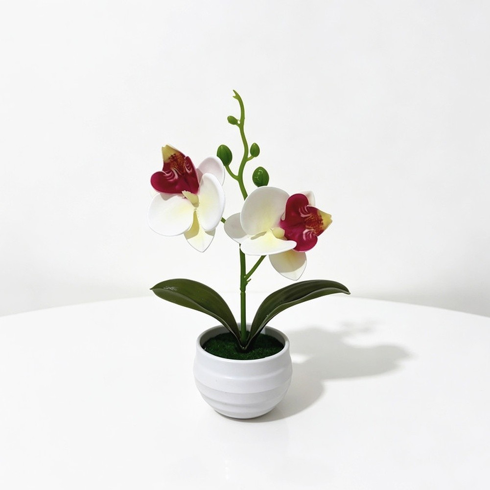 Faux 2-Head Orchid in Striped Pot 6.9 in Tall Realistic Plastic Flower