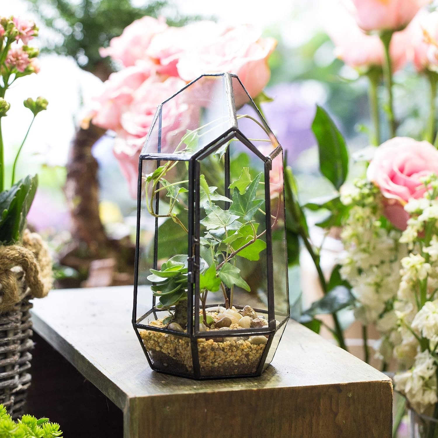 Compact Irregular Glass Terrarium Planter – 5.1” Indoor Decor for Moss & Fern
