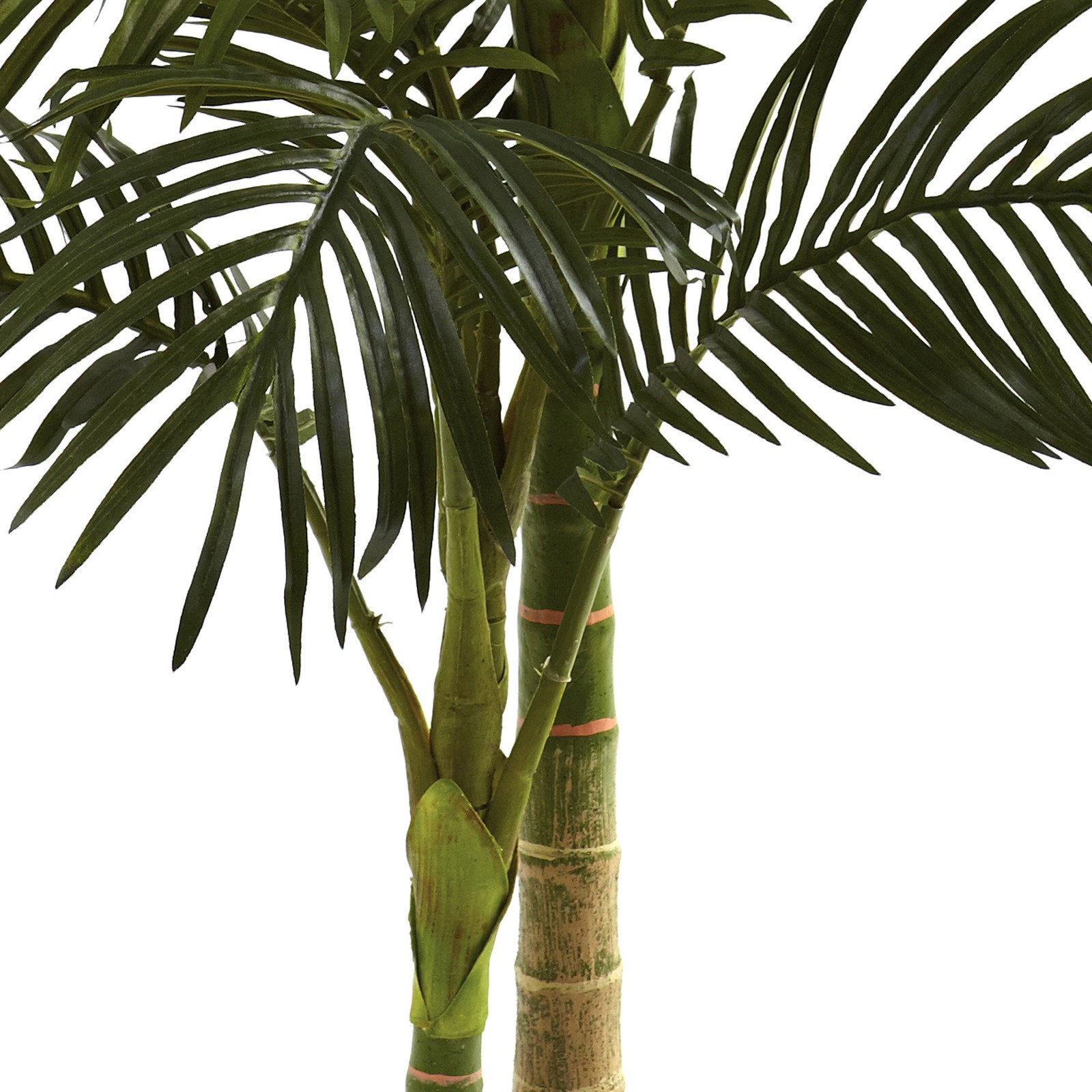 Nearly Natural 60″ Golden Cane Palm Tree with 2-Trunks and Leaves in Green/Black