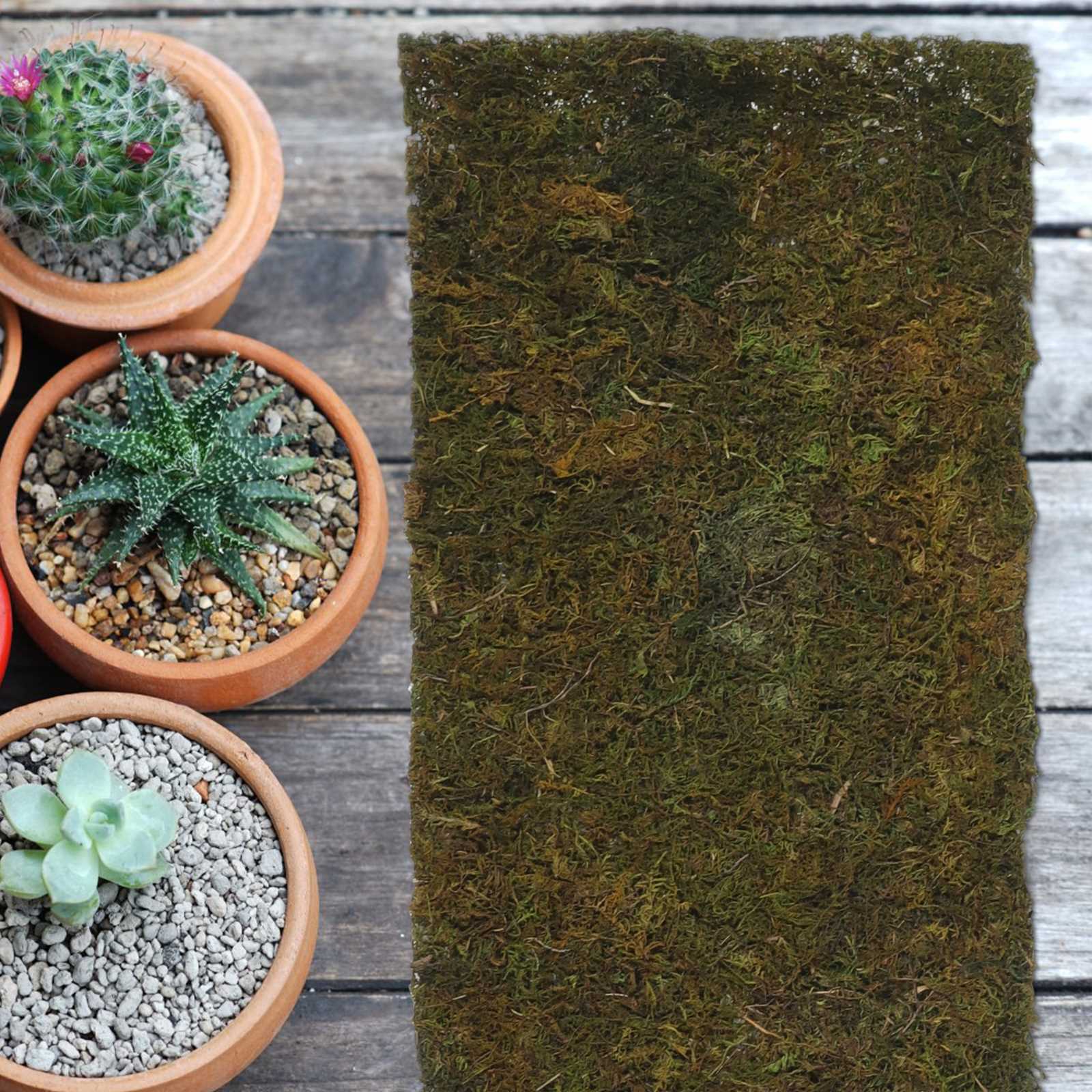 Artificial Moss Turf Artificial Moss Table Runner Turf Bonsai Versatile Grass