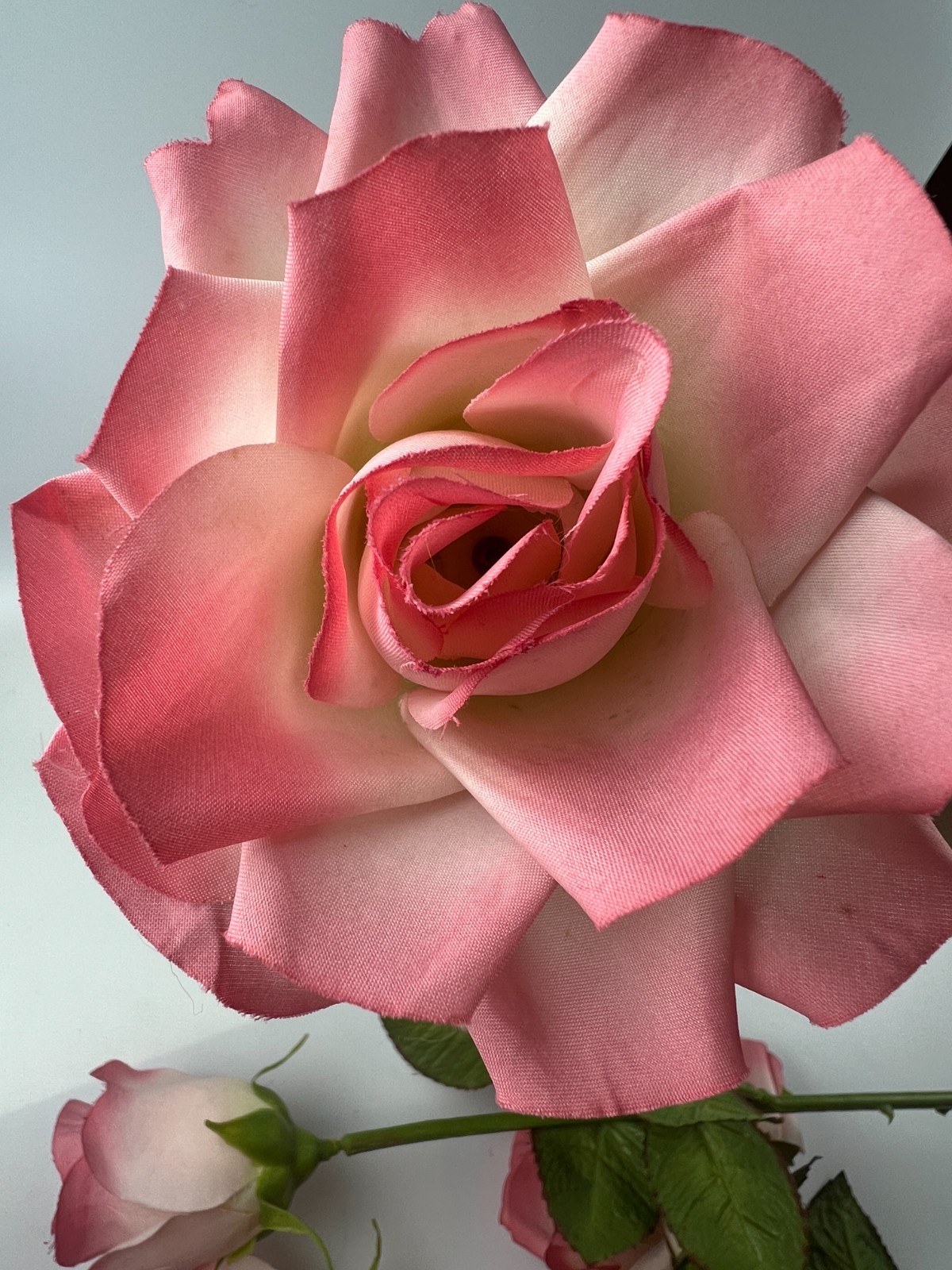5 True VINTAGE long stem silk roses pink peach cream ombre thorn faux artificial