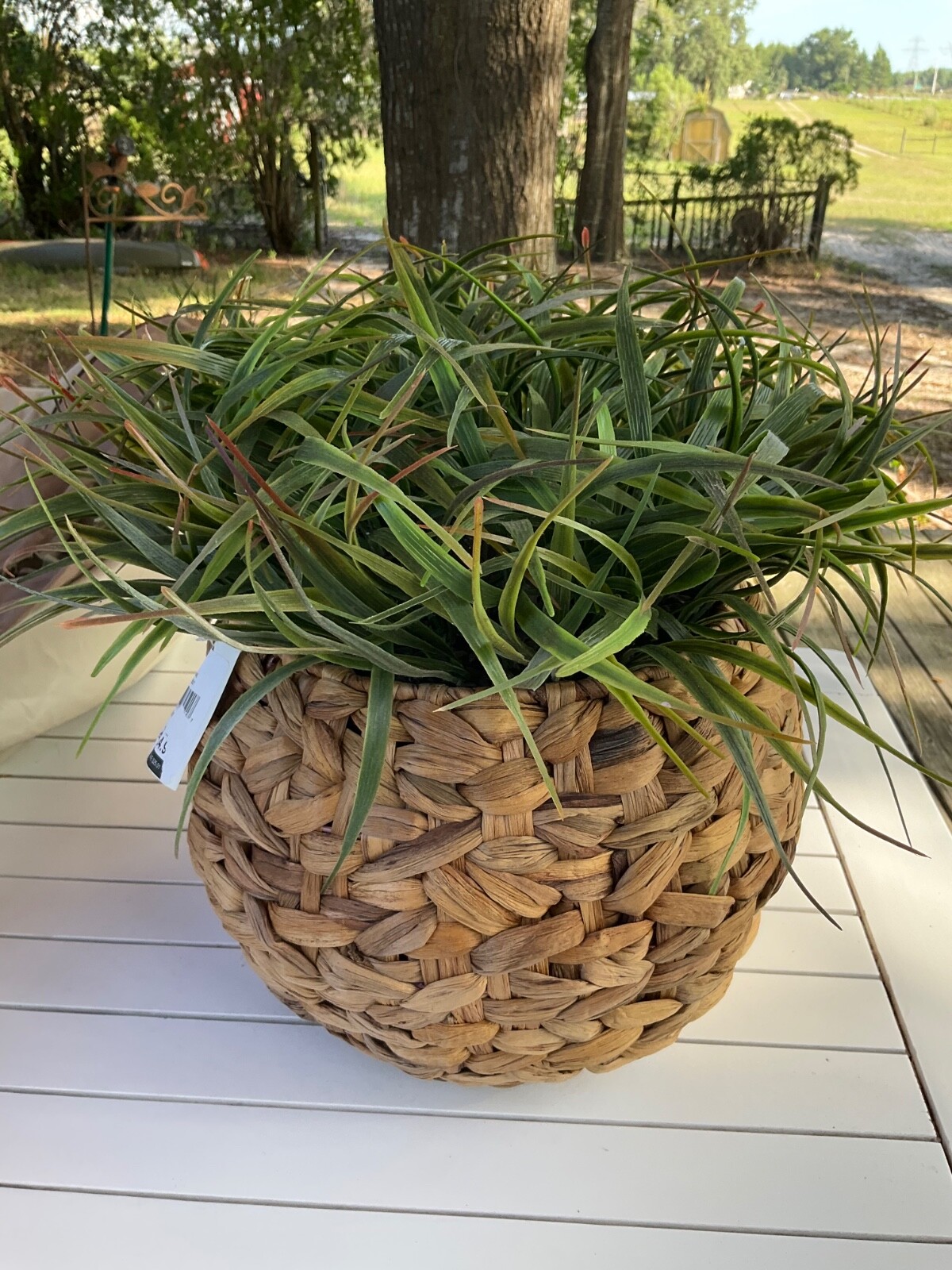 Artificial Plant Greenery in Woven Basket Planter, 14- 16” tall Fake Plant