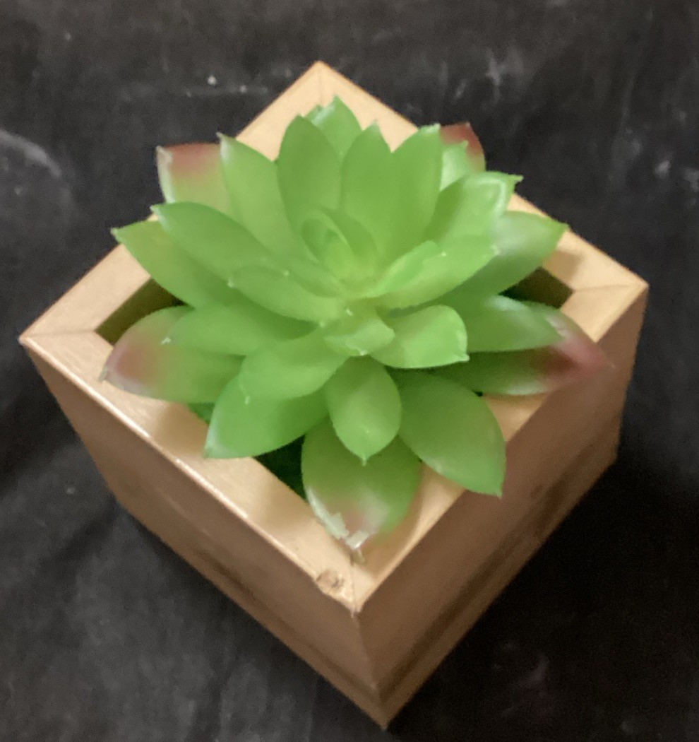 Decorative Fake Potted Succulents. New and Gently Used lot of 10 (F2)