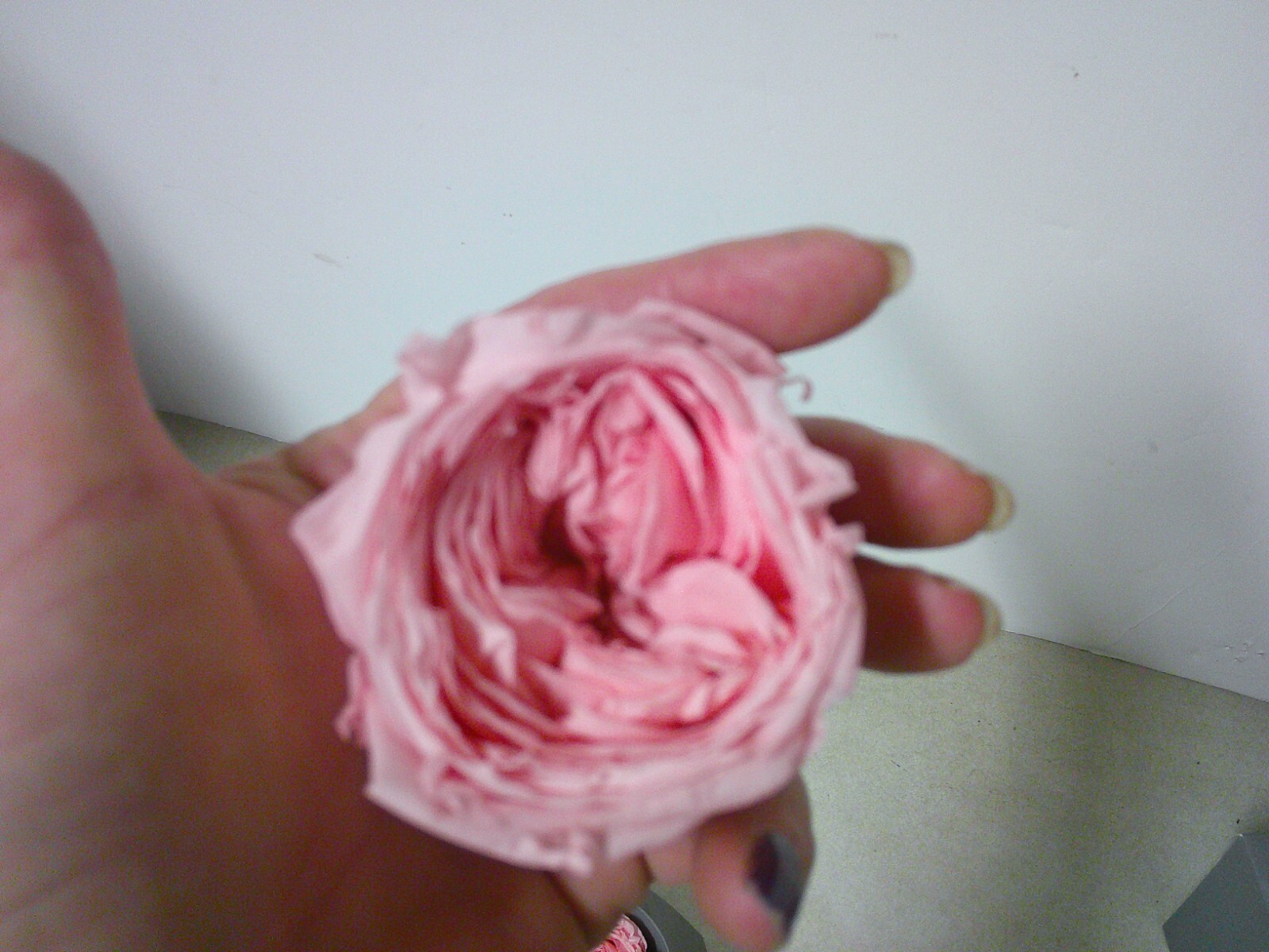 Verdissimo Real Preserved Roses Double Pink 6 Ct Wedding Floral Arrangements