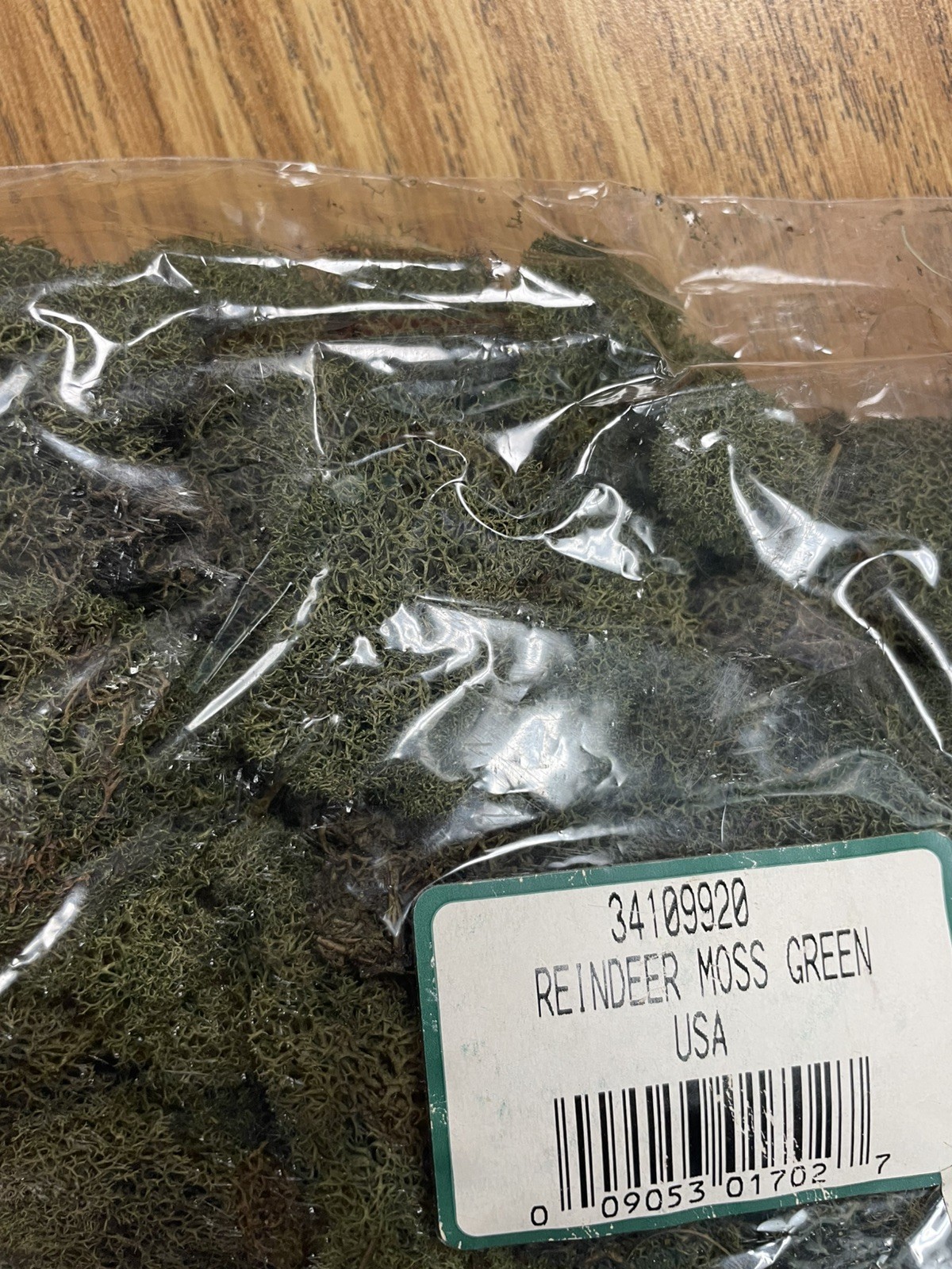 PRESERVED NATURAL REINDEER MOSS GREEN FOR CRAFTS VILLAGES & RAILROAD DISPLAYS