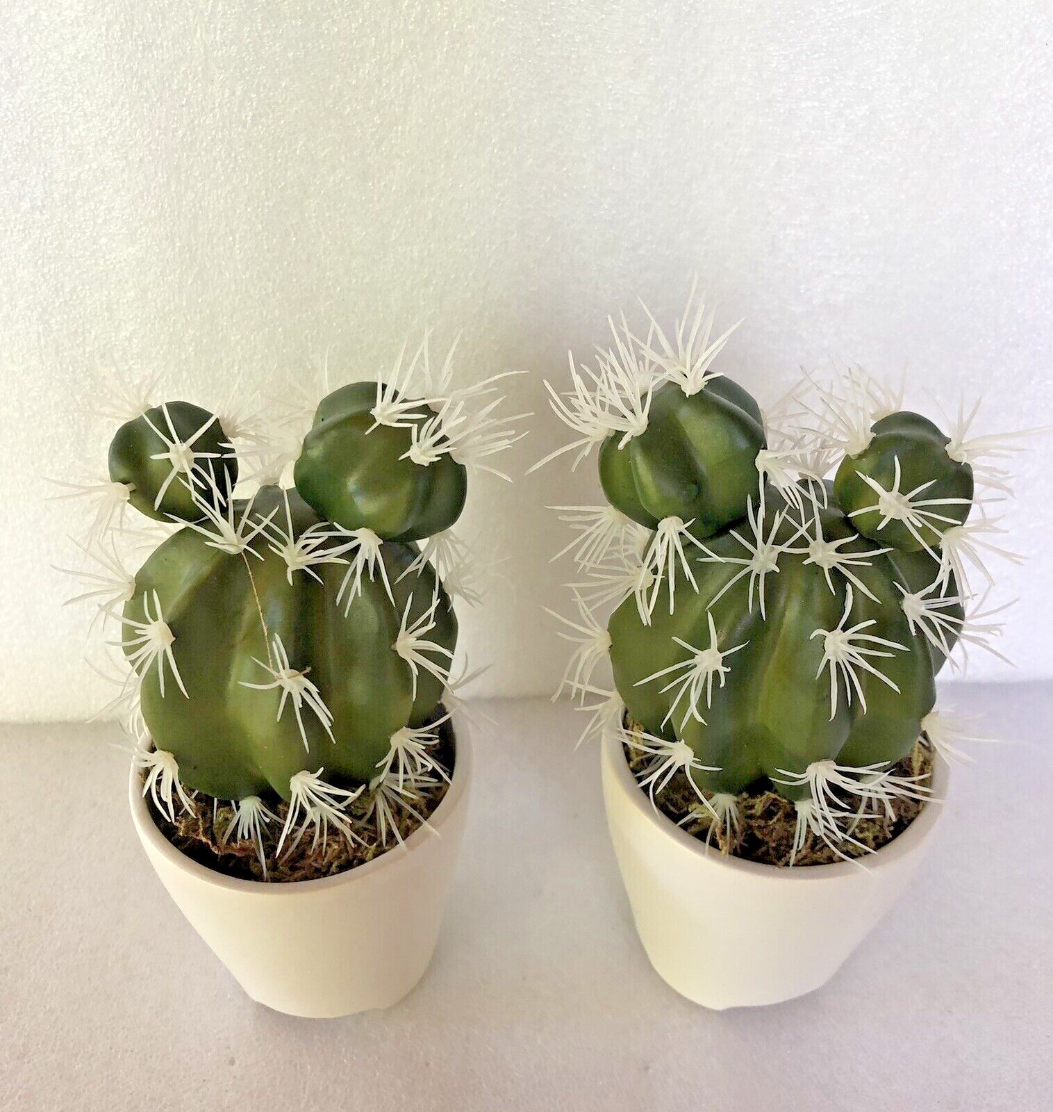 Set of 2 Faux Cactus Artificial Plants in Ceramic Pots 7″ Tall