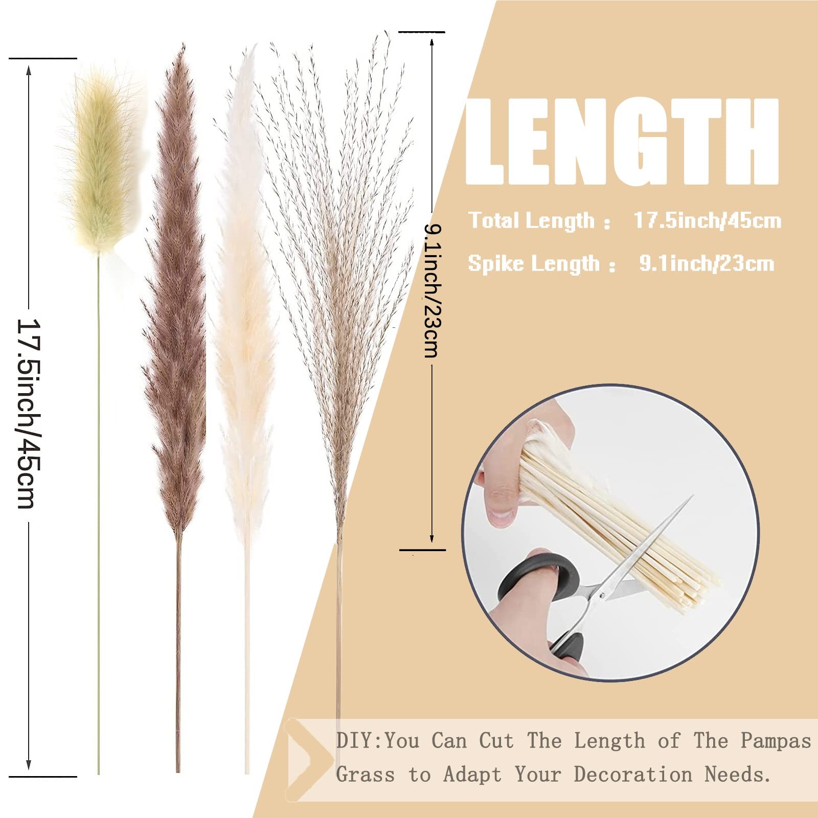 Pampas Grass Decor 17.5inch Natural Fluffy Dried Flowers for Home Wedding Decor